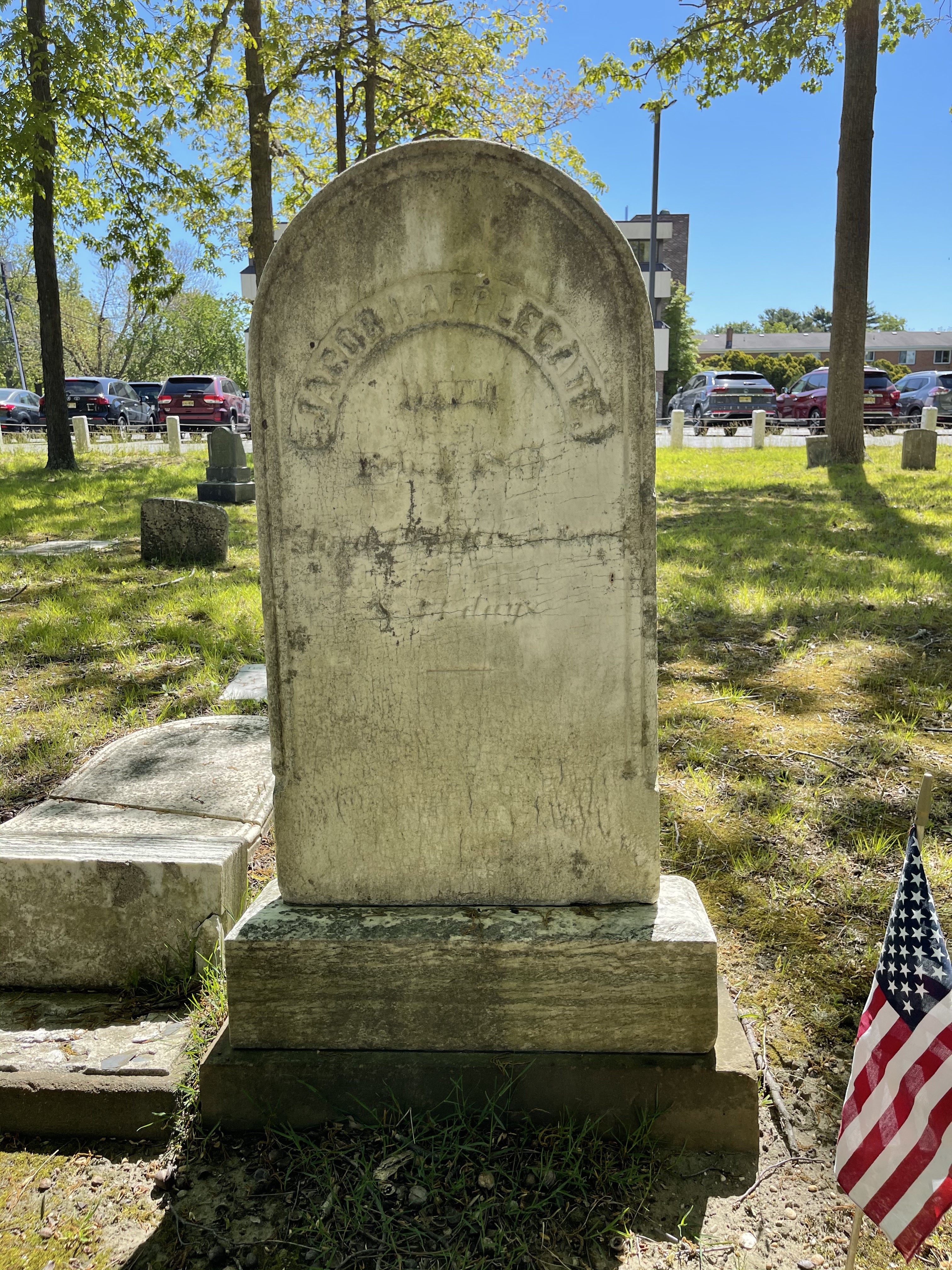 Photographed 14 May 2021.