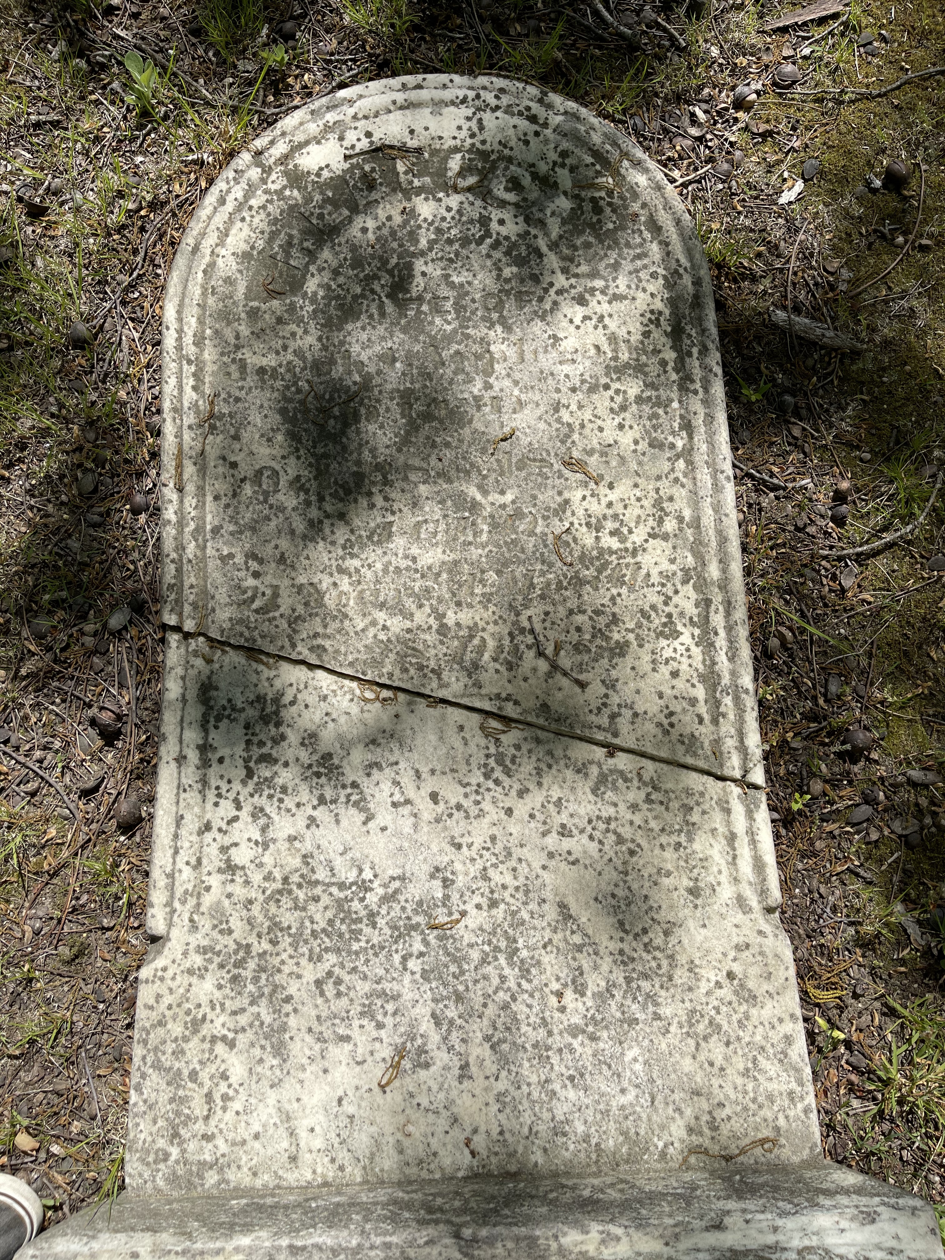 Photographed 14 May 2021.