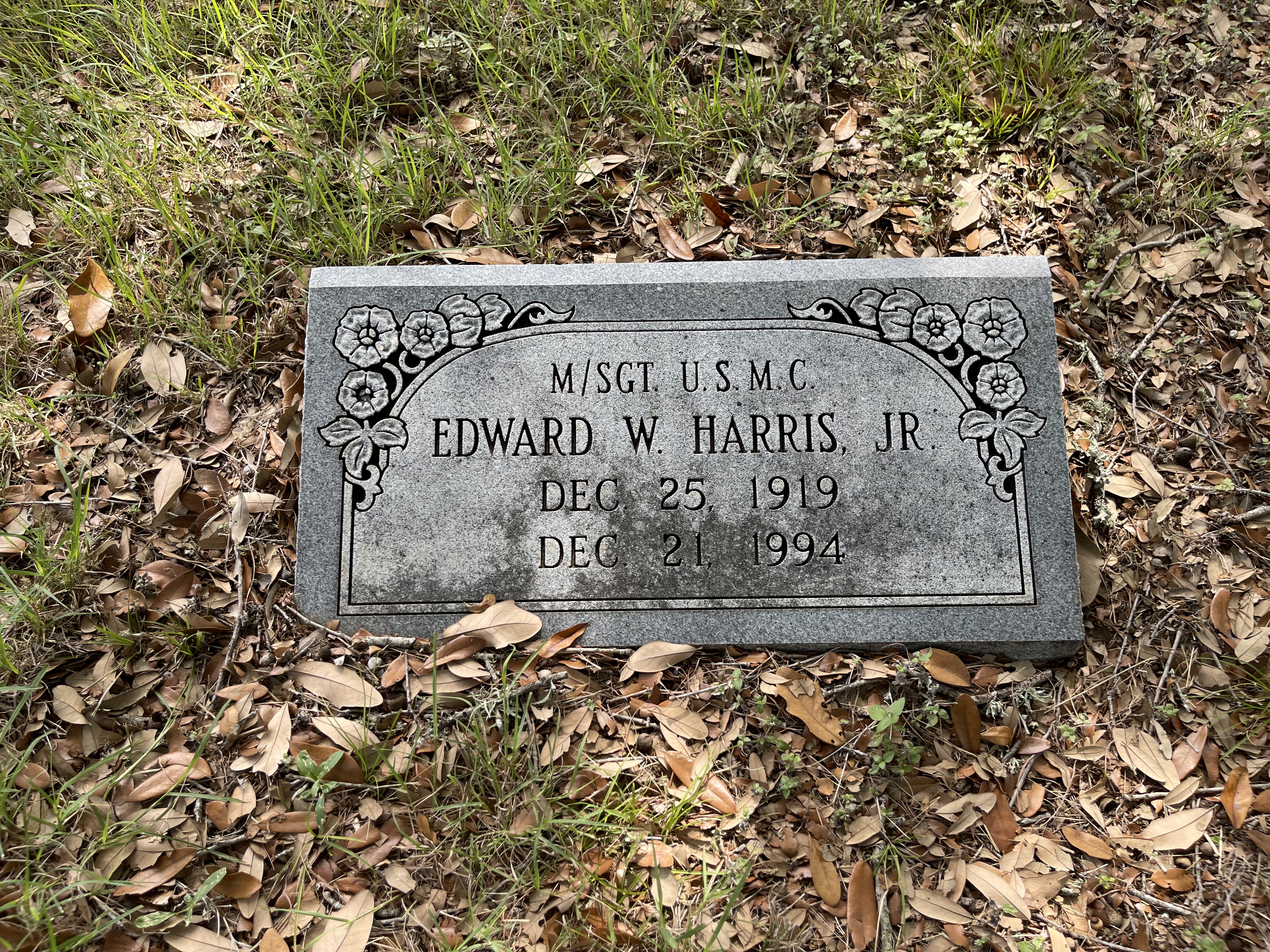 Photographed 01 July 2022.