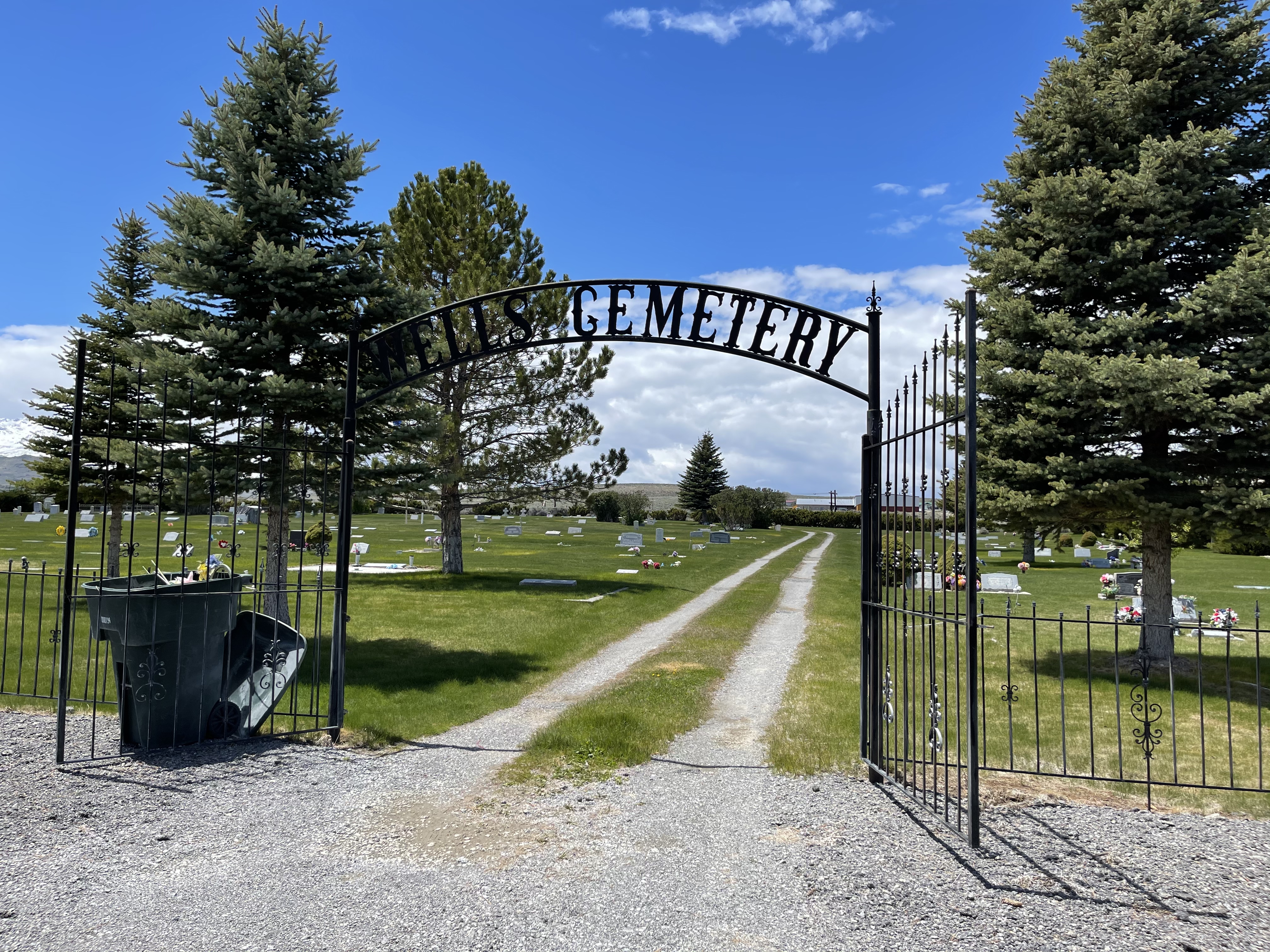 Photographed 24 May 2022.