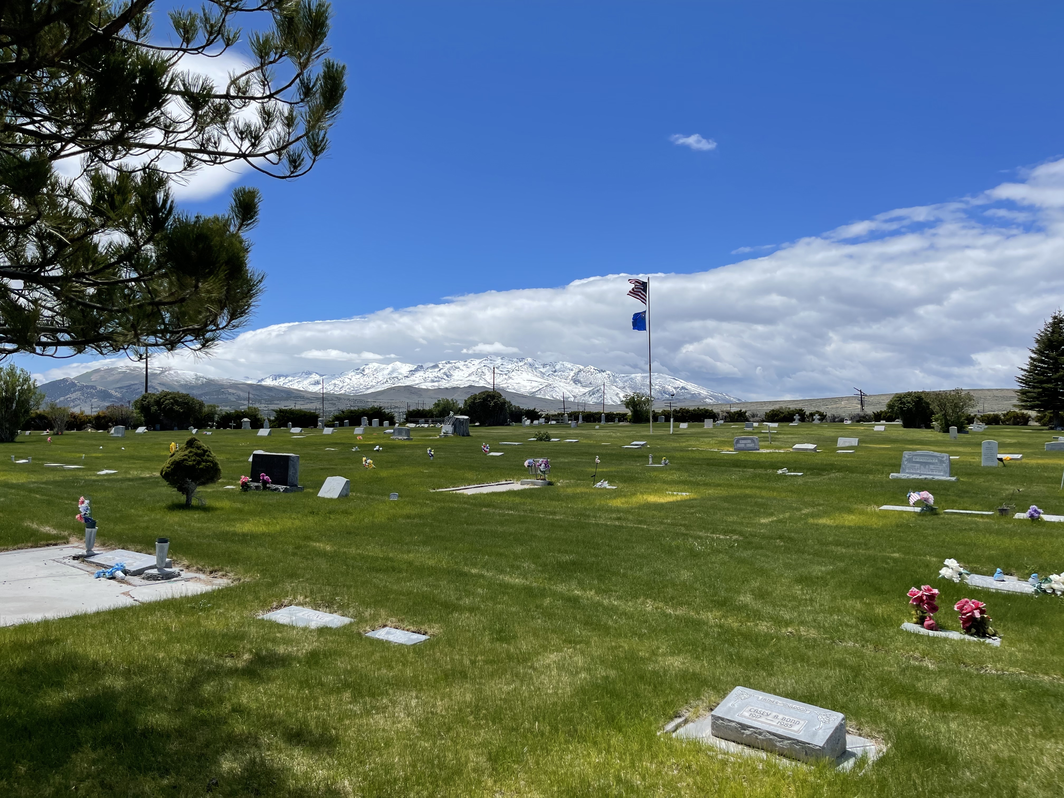 Photographed 24 May 2022.