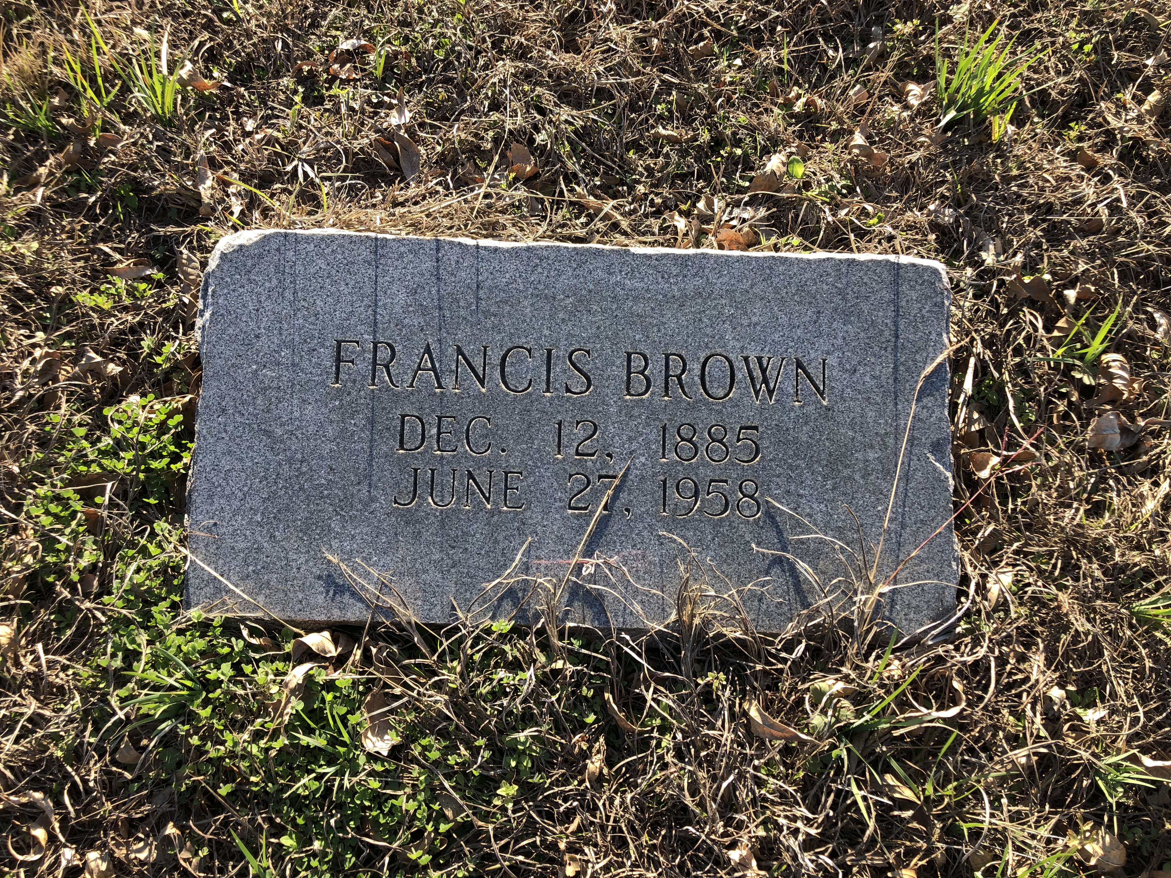 As photographed on 24 Jan 2020.