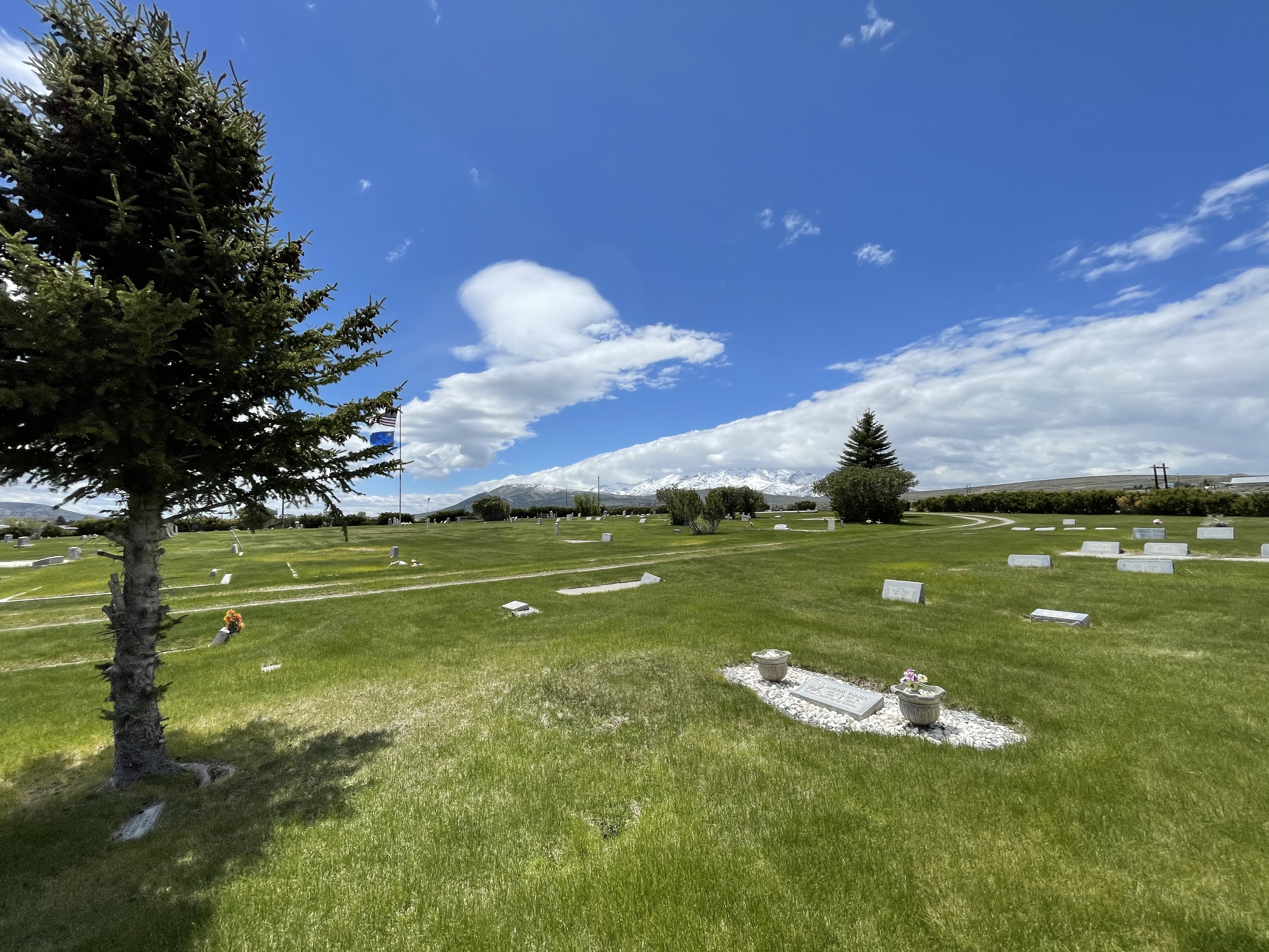 Photographed 24 May 2022.