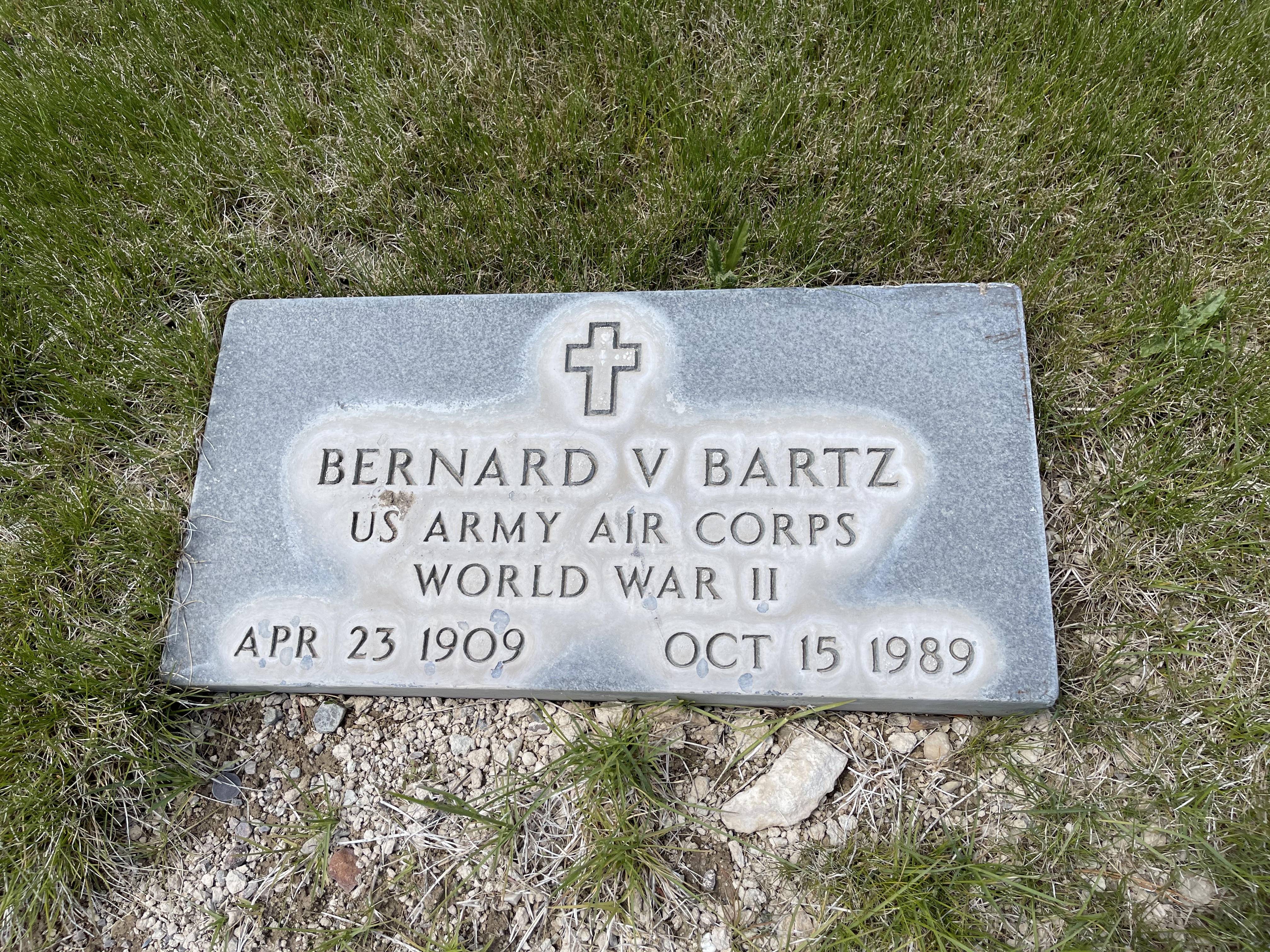 Photographed 24 May 2021.