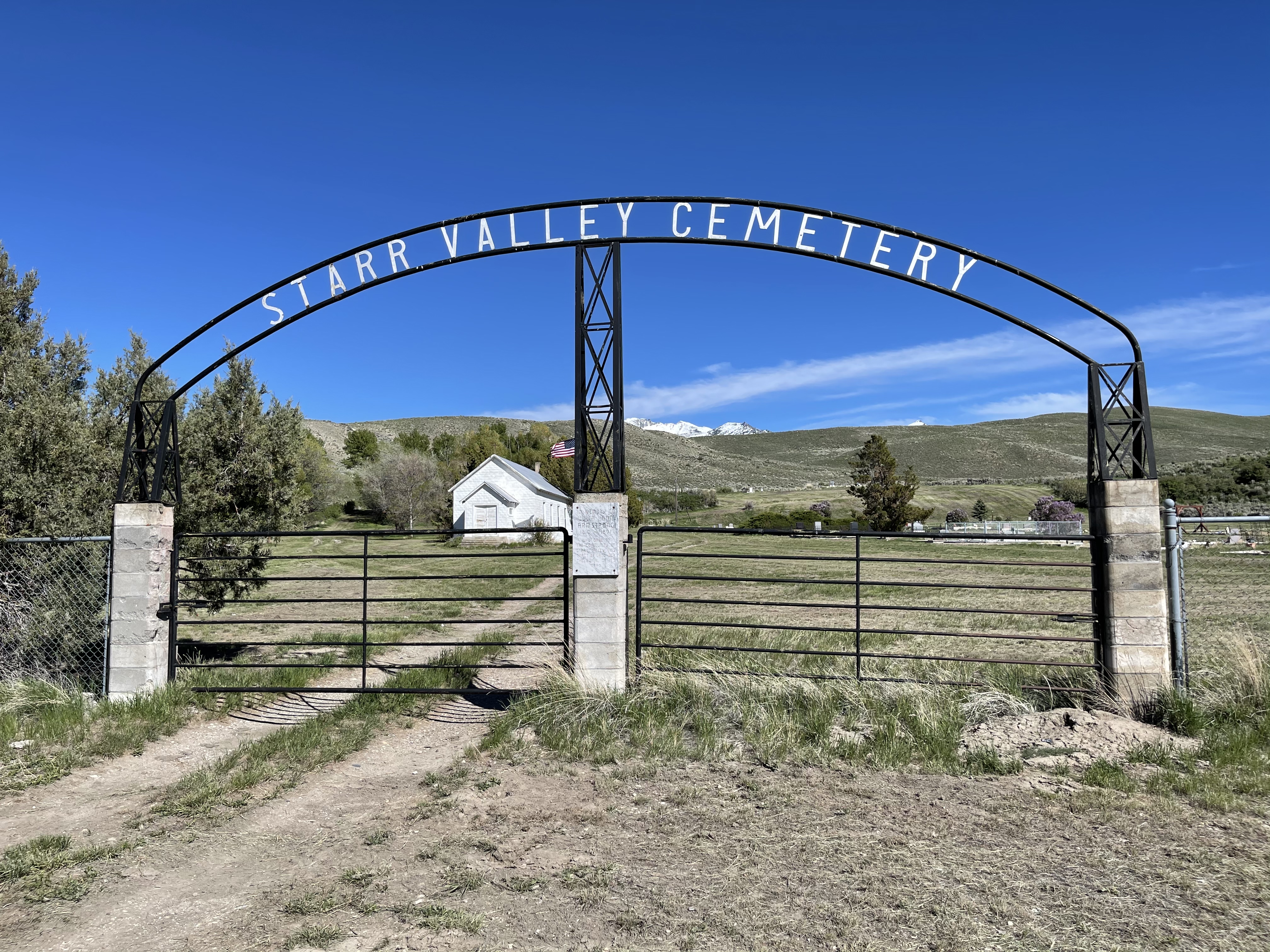 Photographed 26 May 2021.