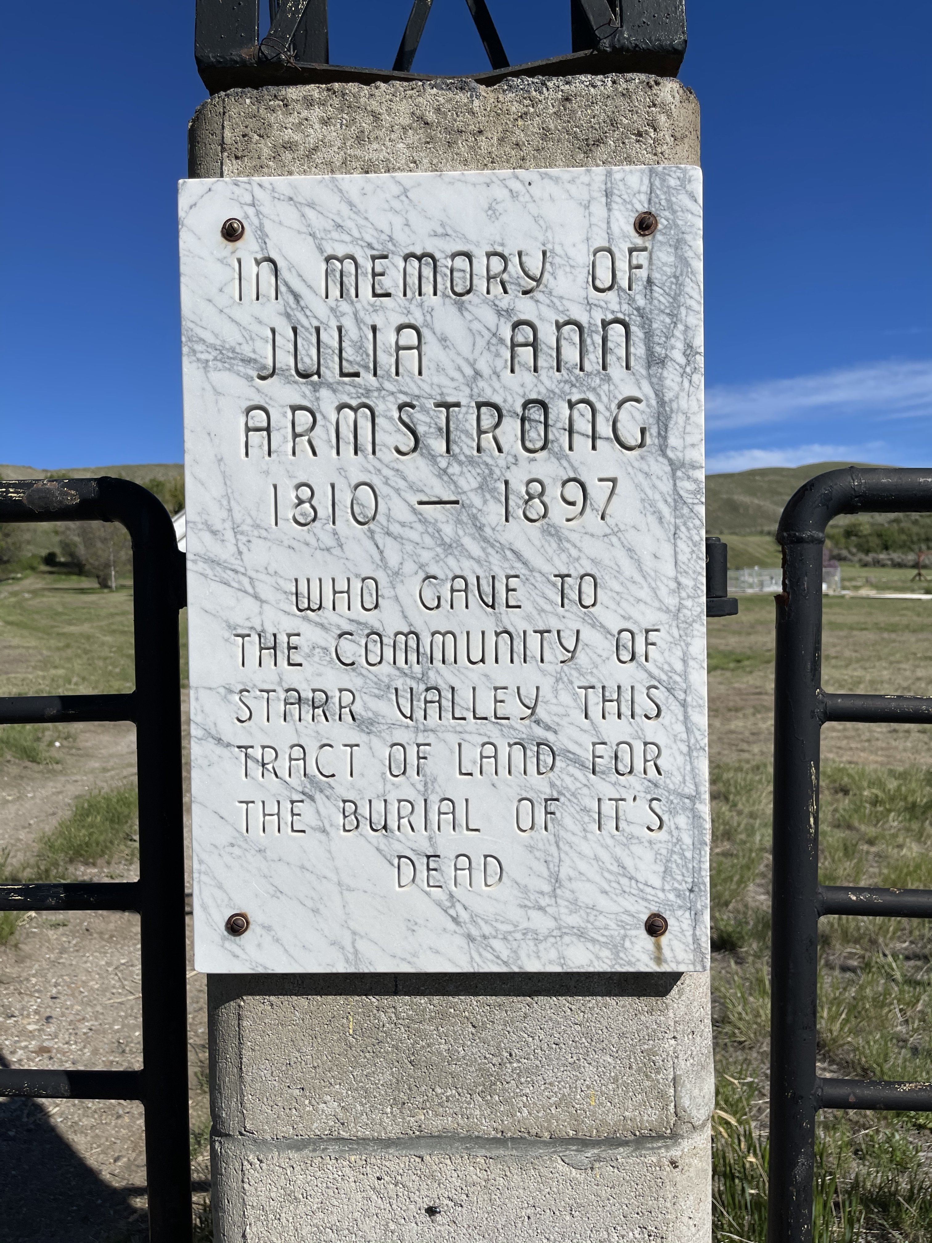 Photographed 26 May 2021.