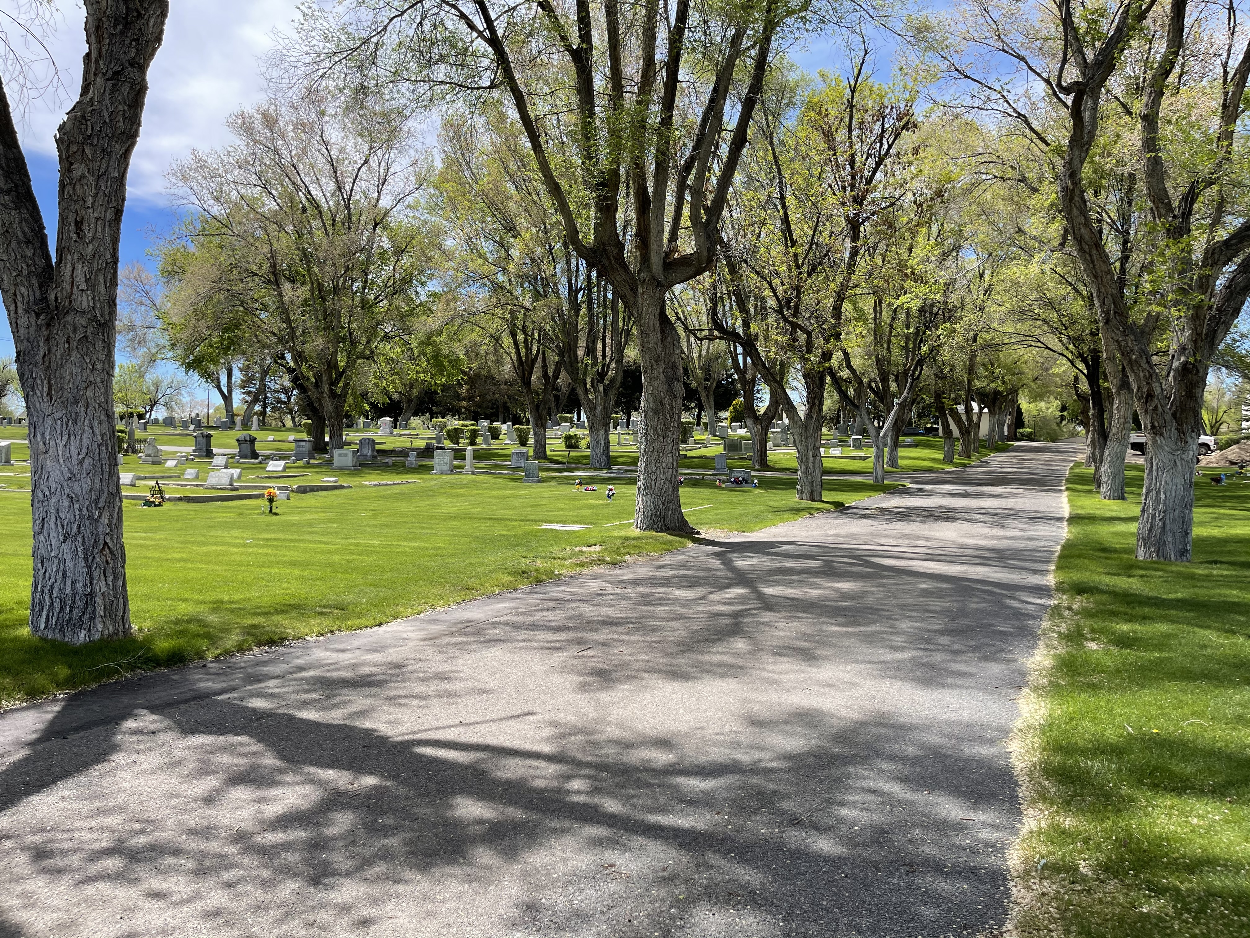 Photographed 26 May 2021.