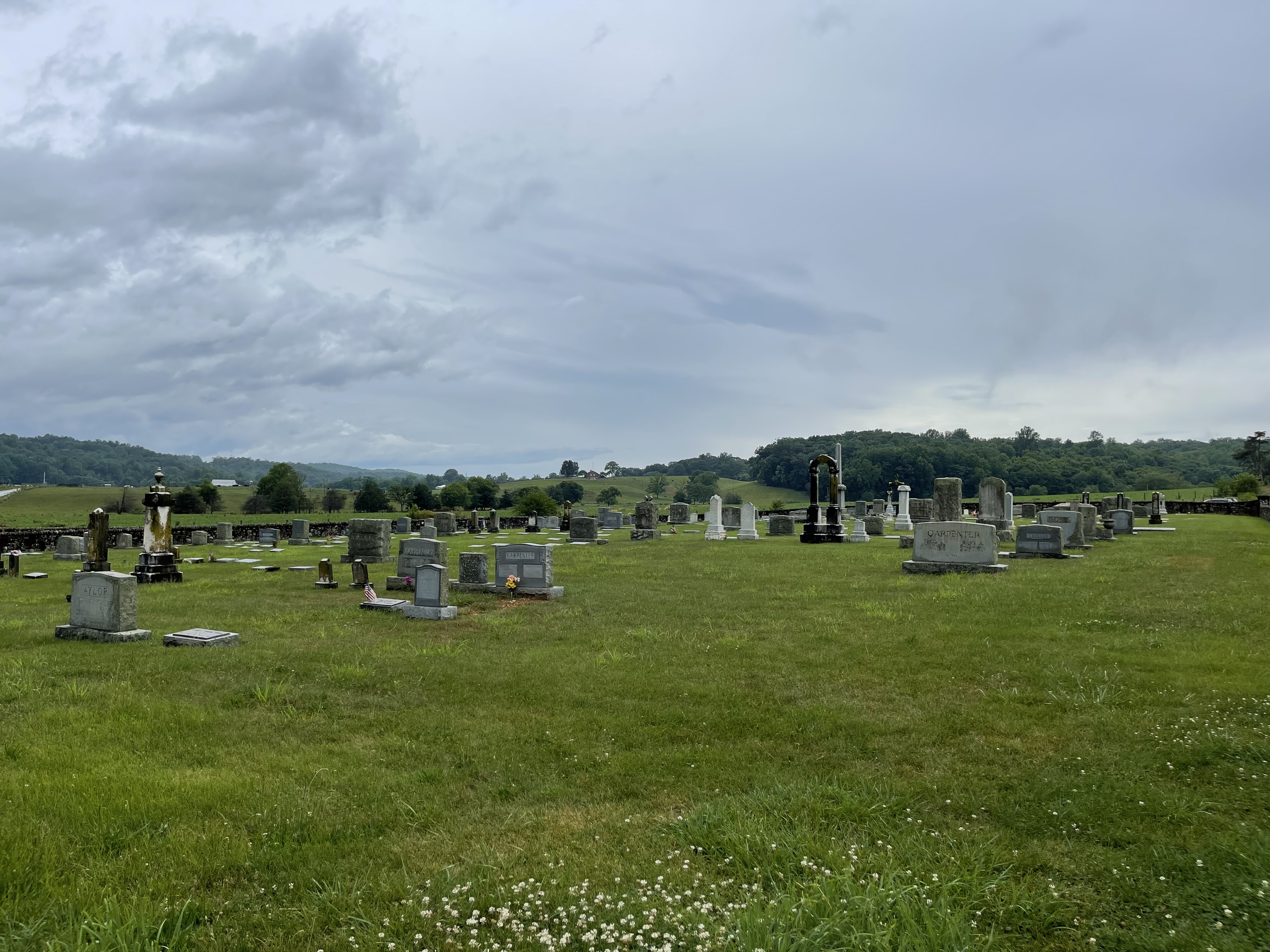 Photographed 08 July 2021.