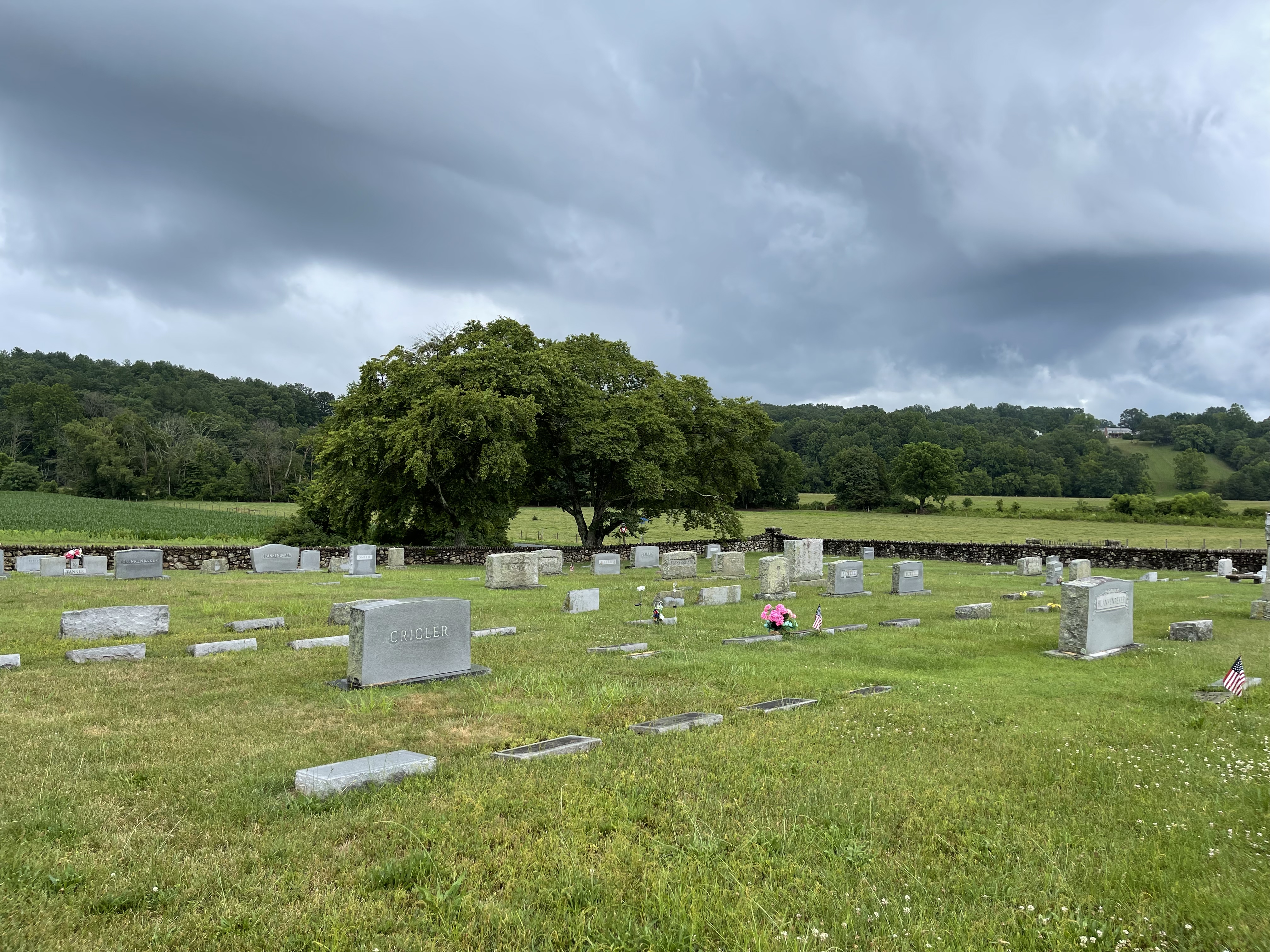 Photographed 08 July 2021.