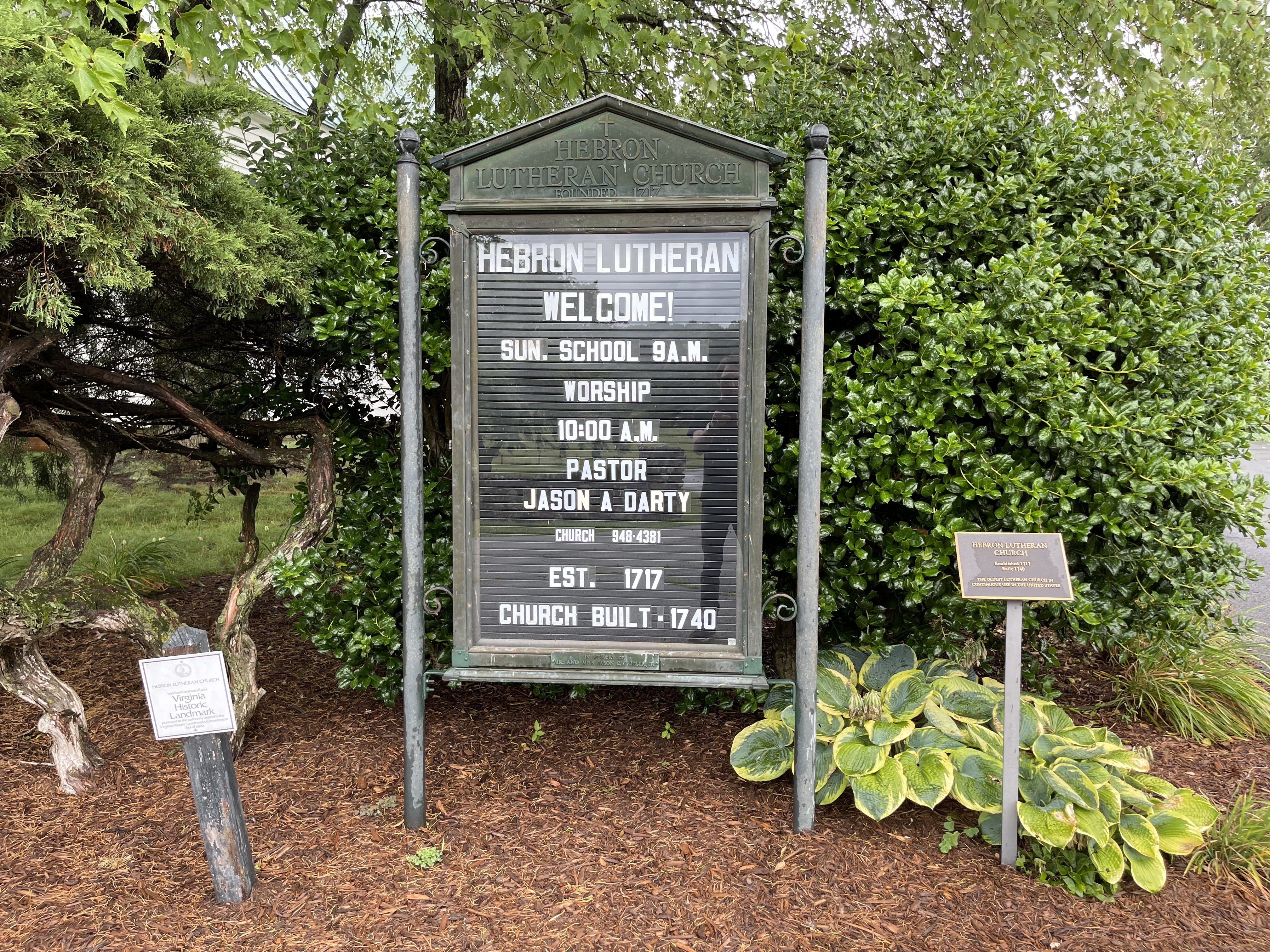 Photographed 08 July 2021.