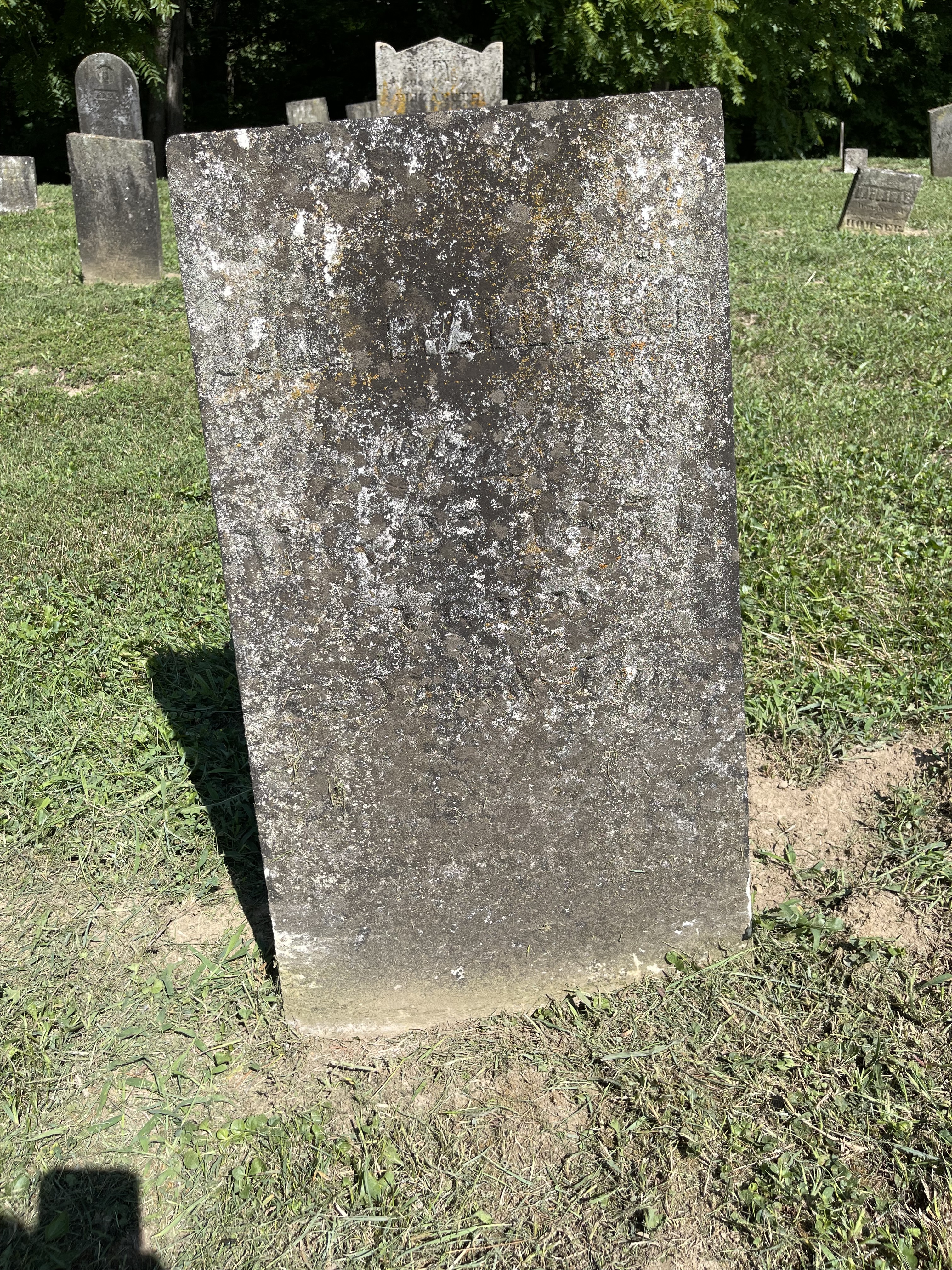 Photographed 31 July 2022.