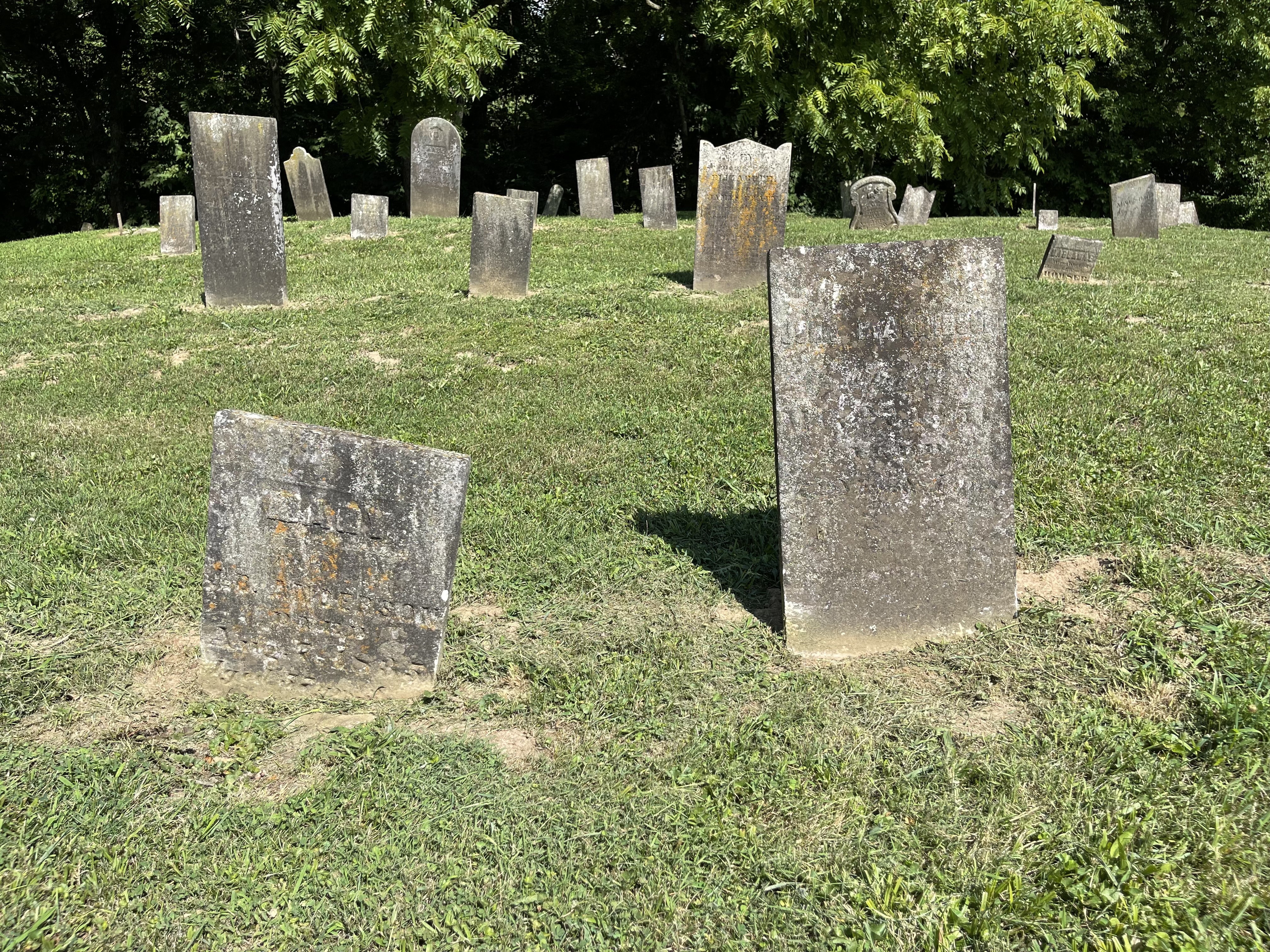 Photographed 31 July 2022.