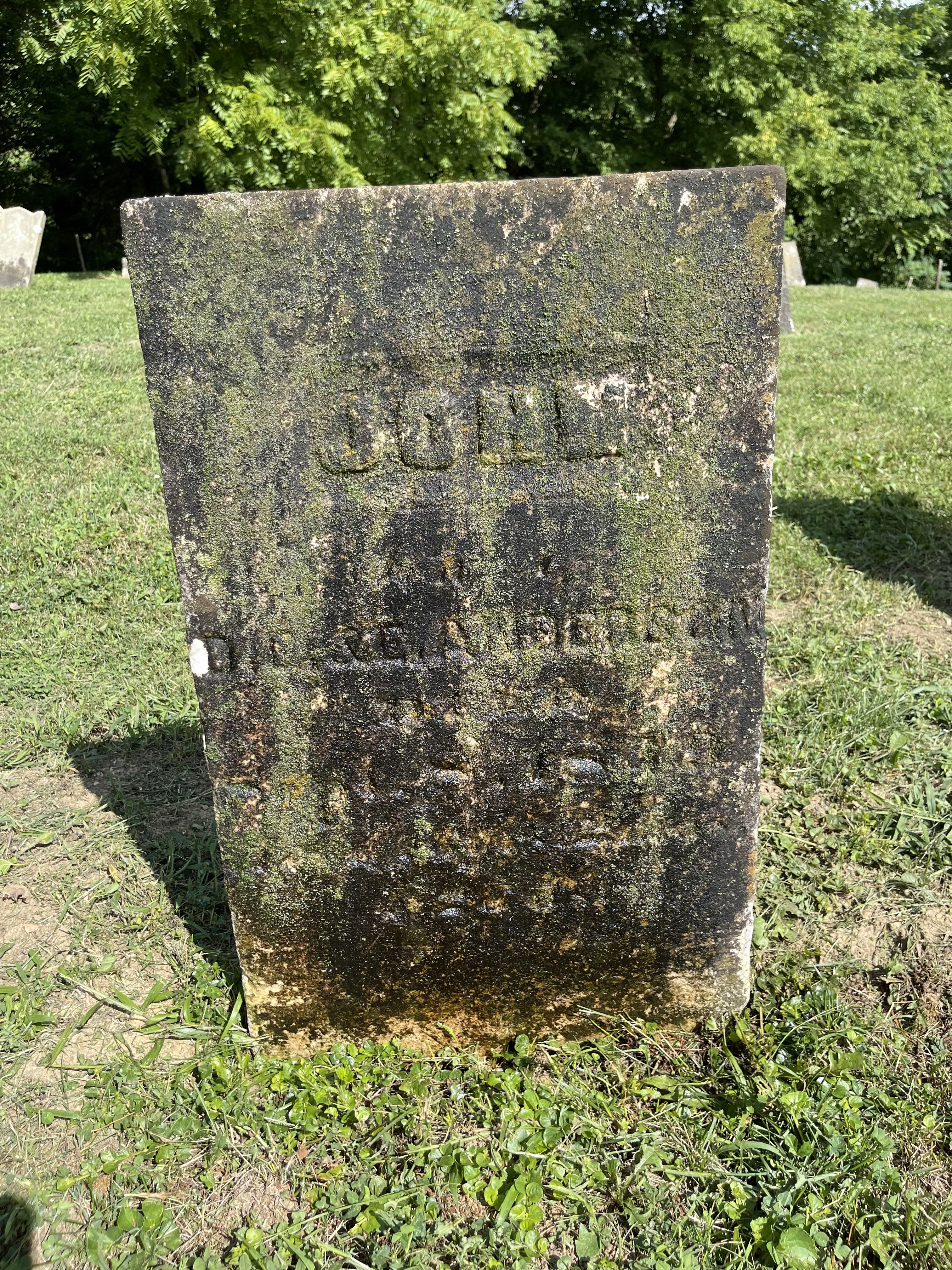 Photographed 31 July 2022.