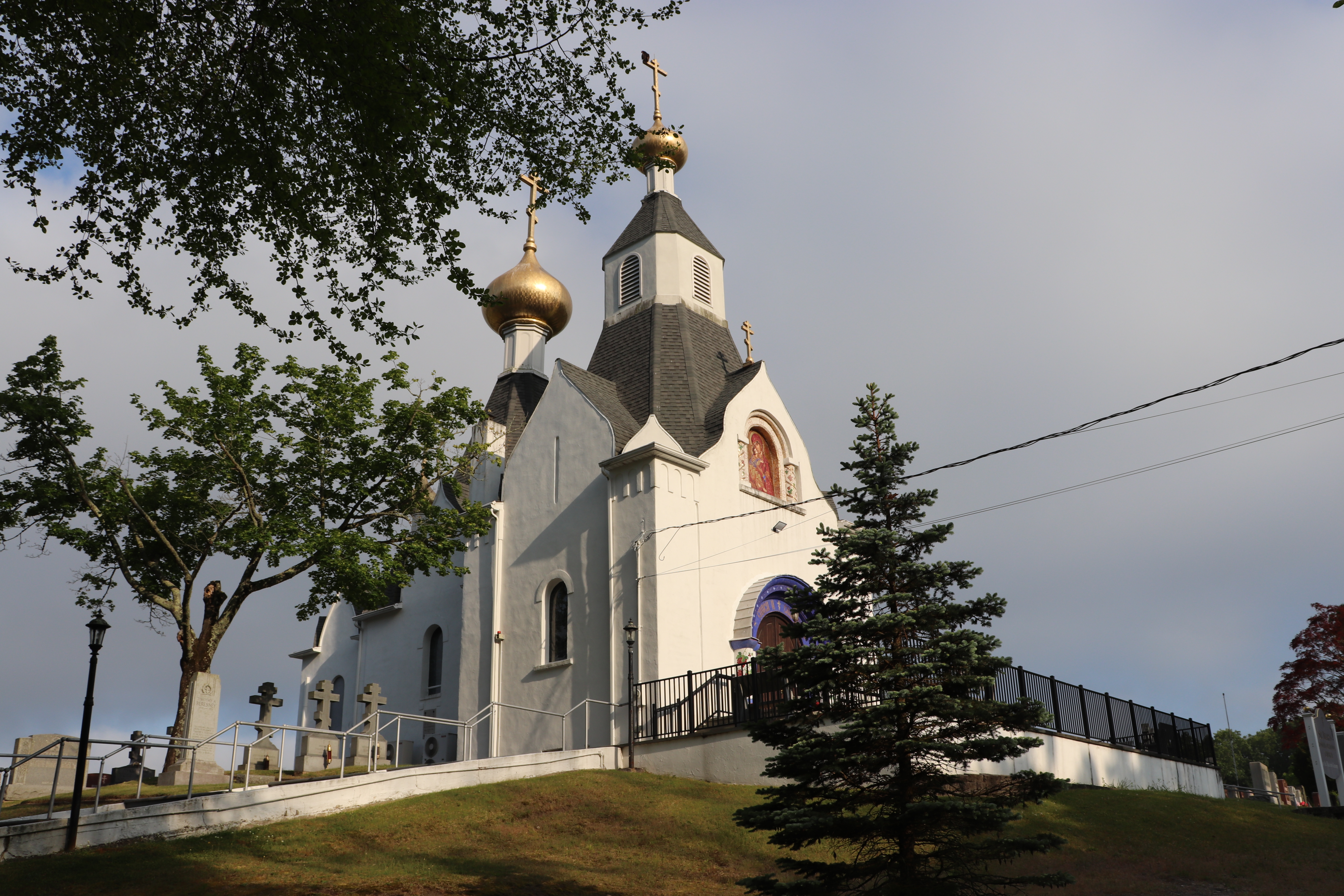 Photographed 31 May 2023.