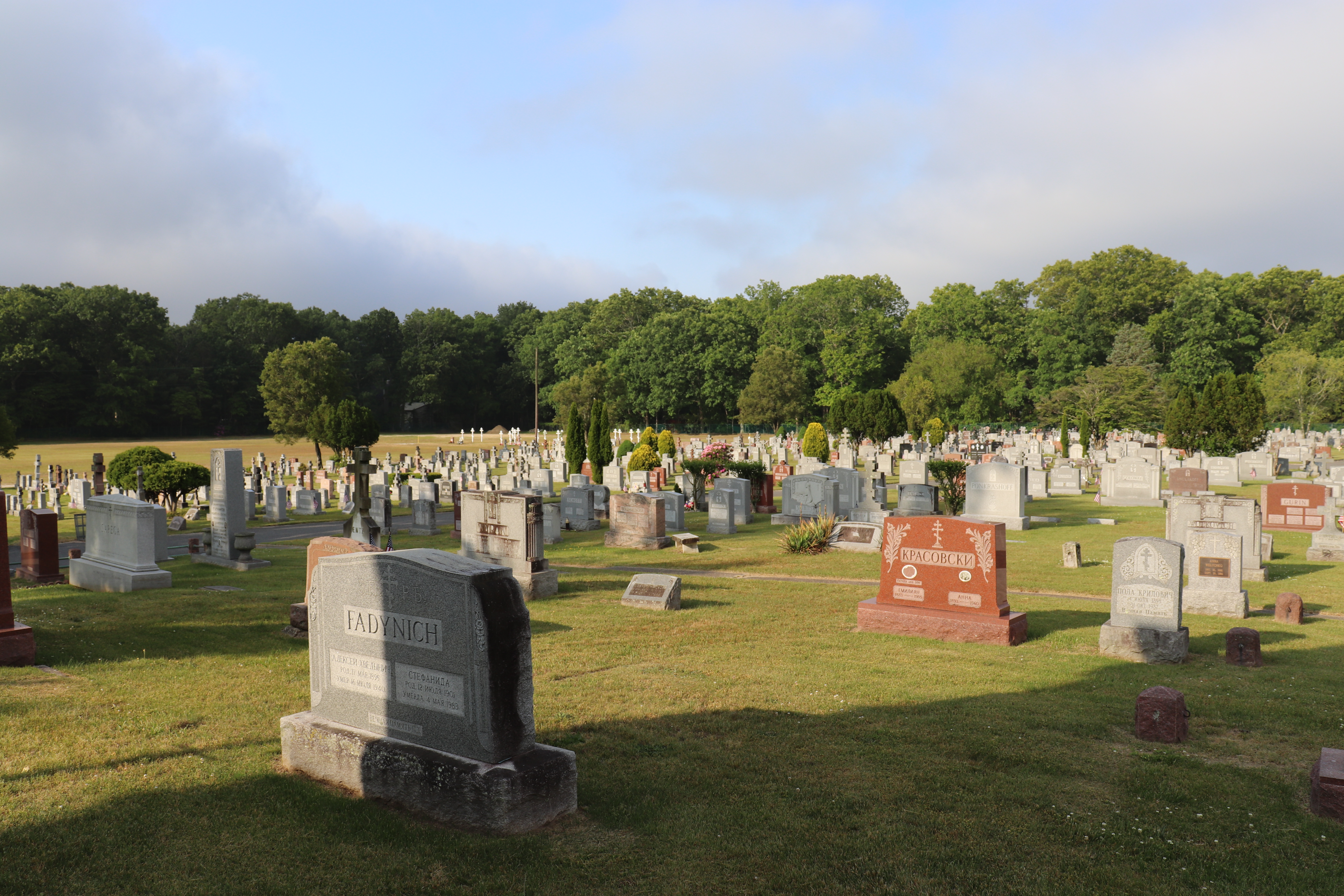 Photographed 31 May 2023.