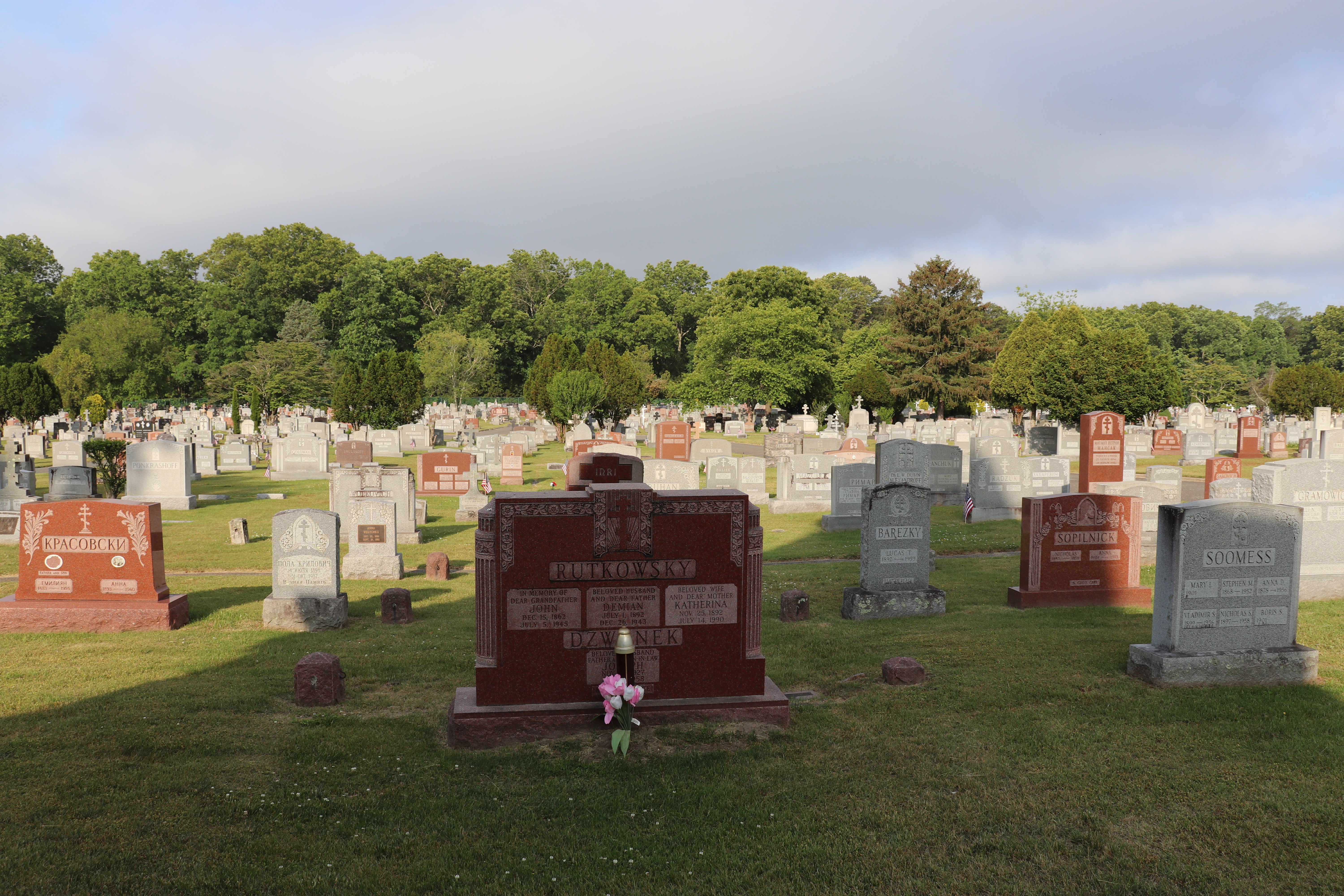 Photographed 31 May 2023.