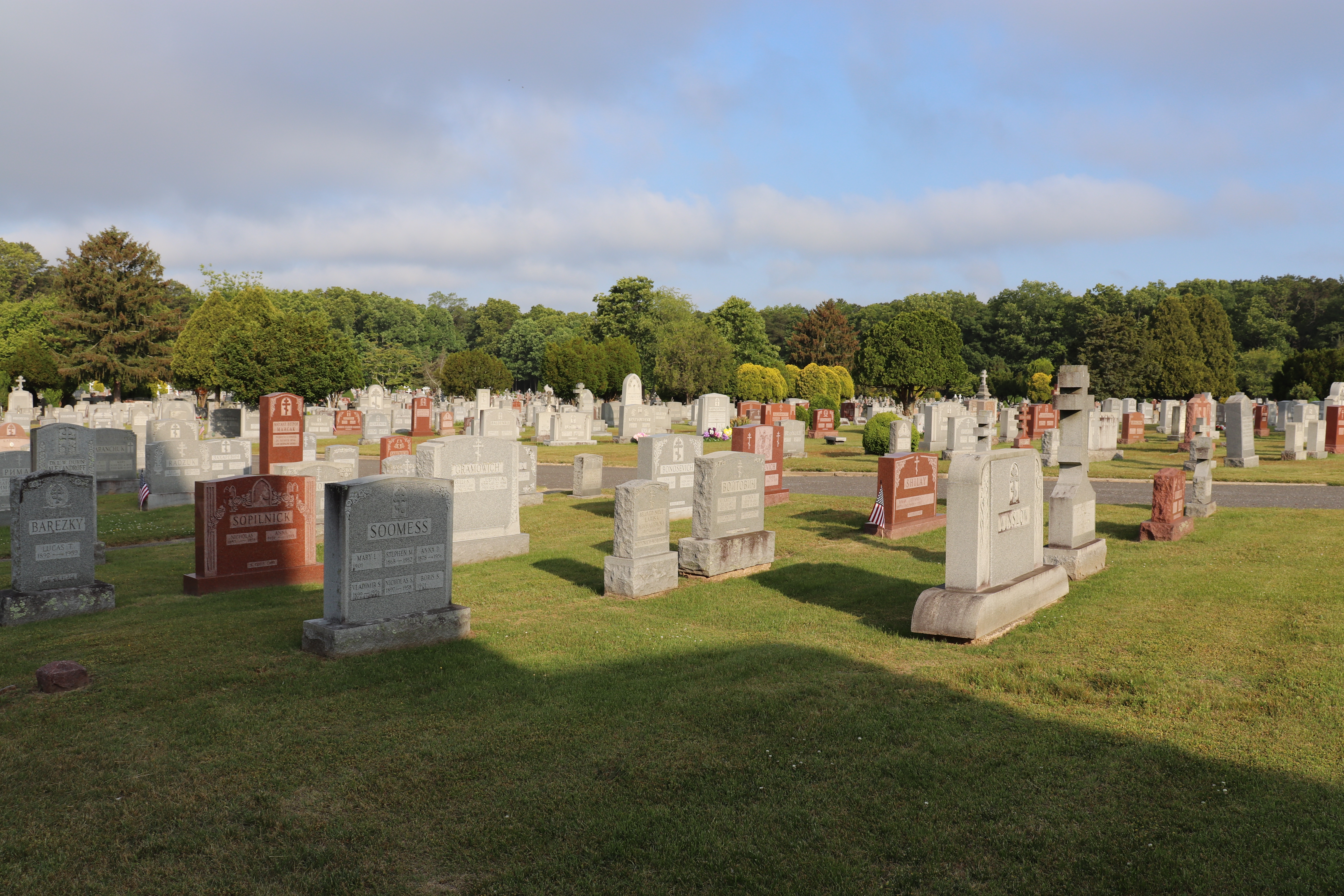 Photographed 31 May 2023.