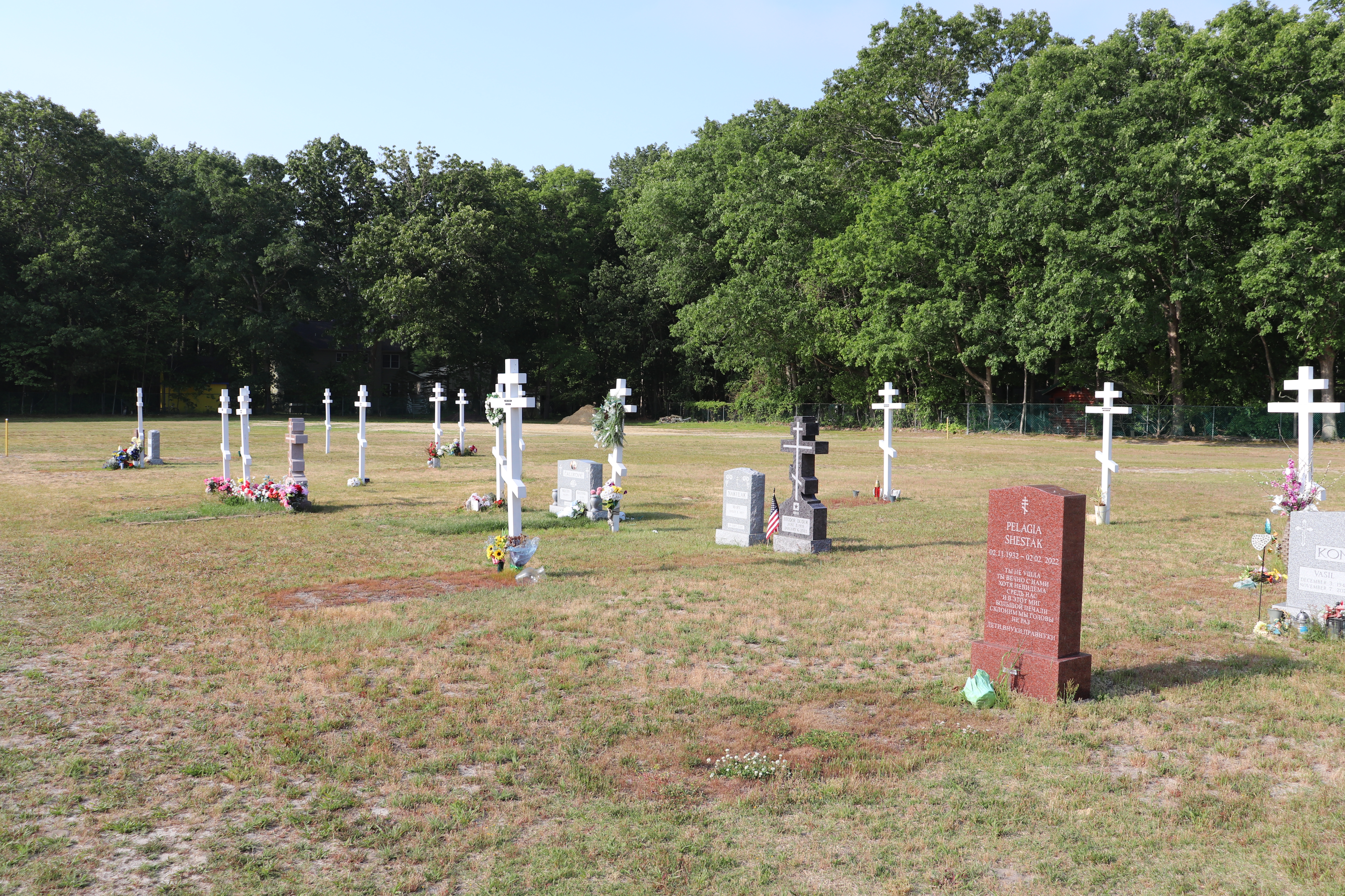 Photographed 31 May 2023.