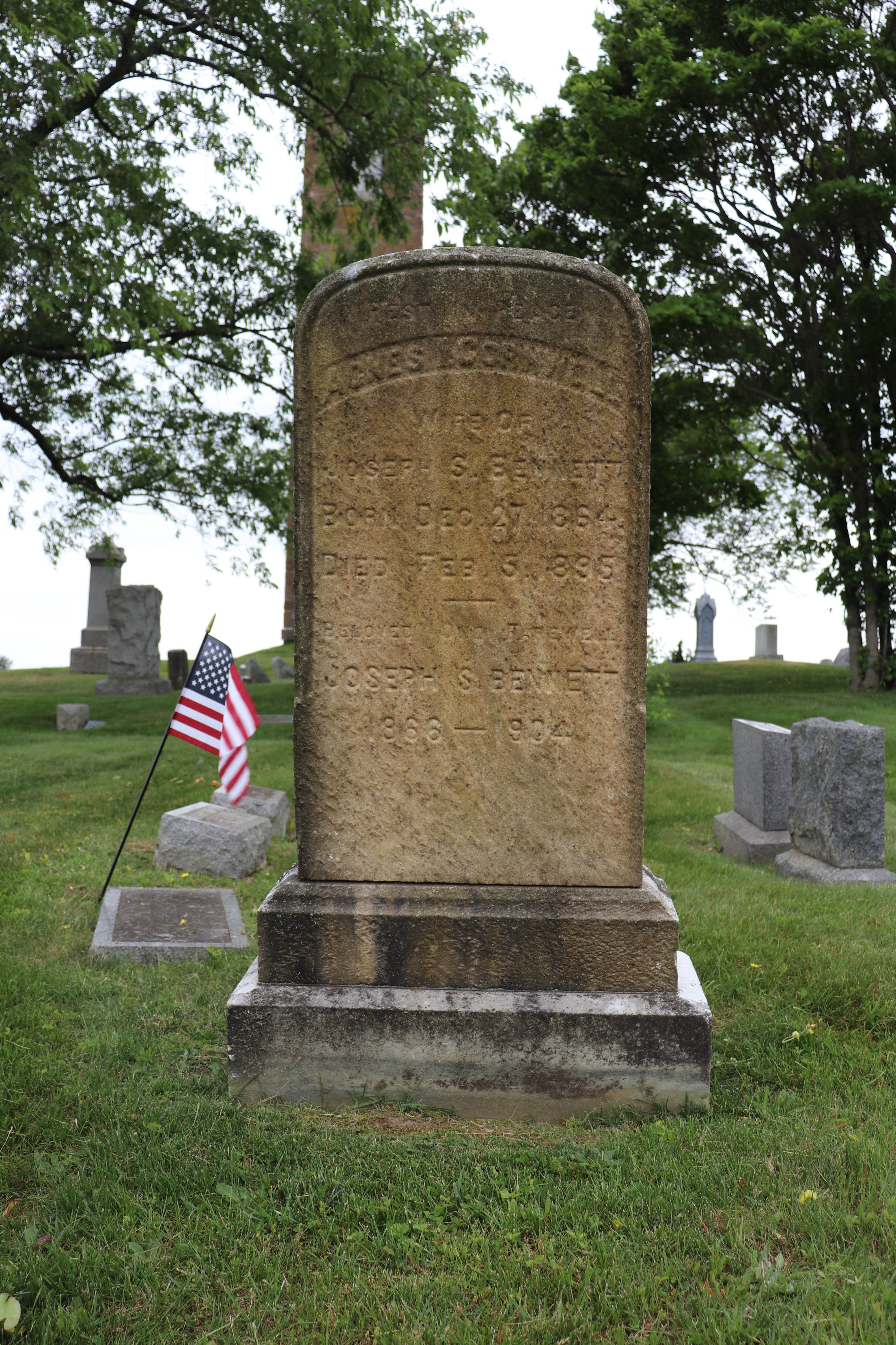 Photographed 03 June 2023.