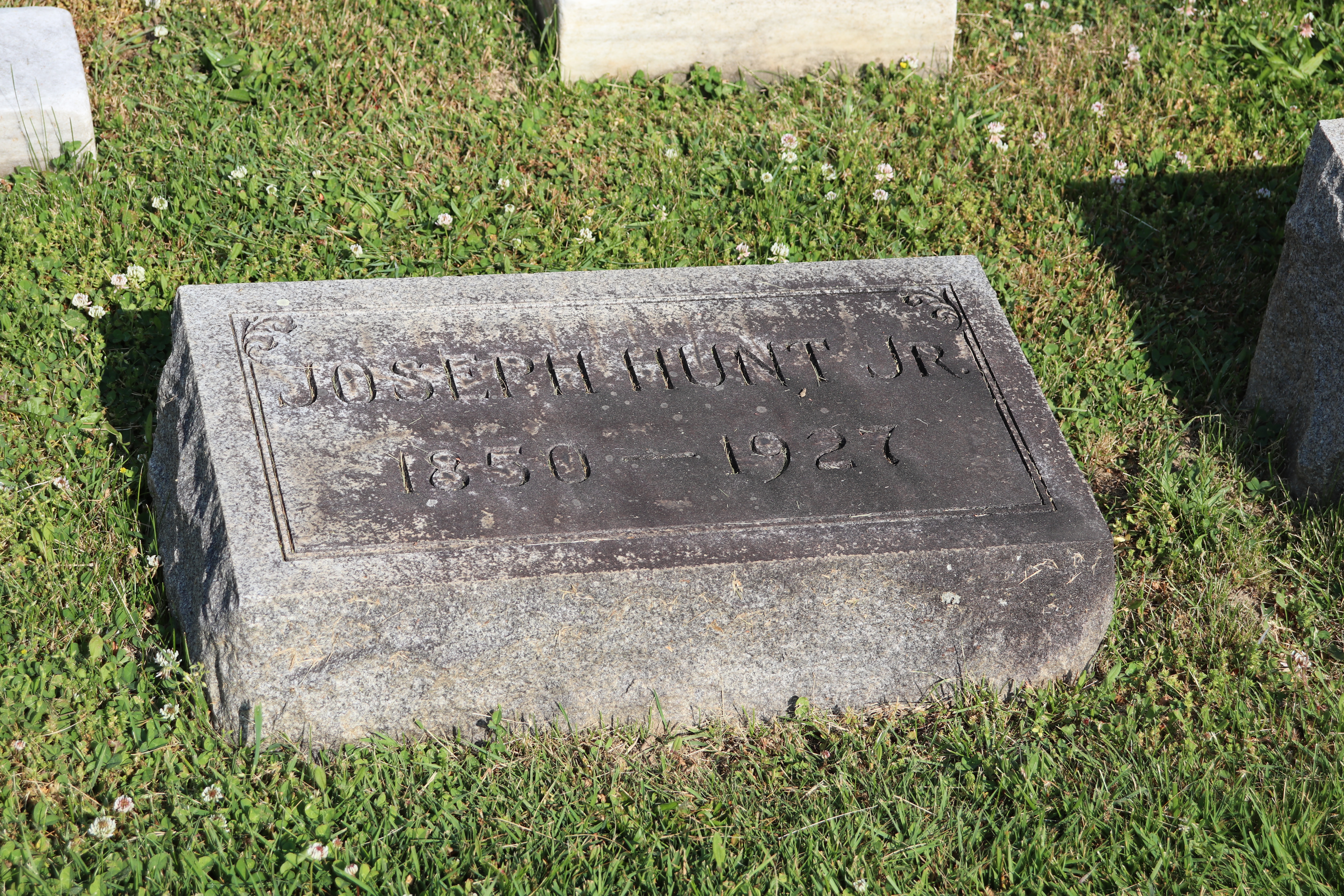 Photographed 01 June 2023.