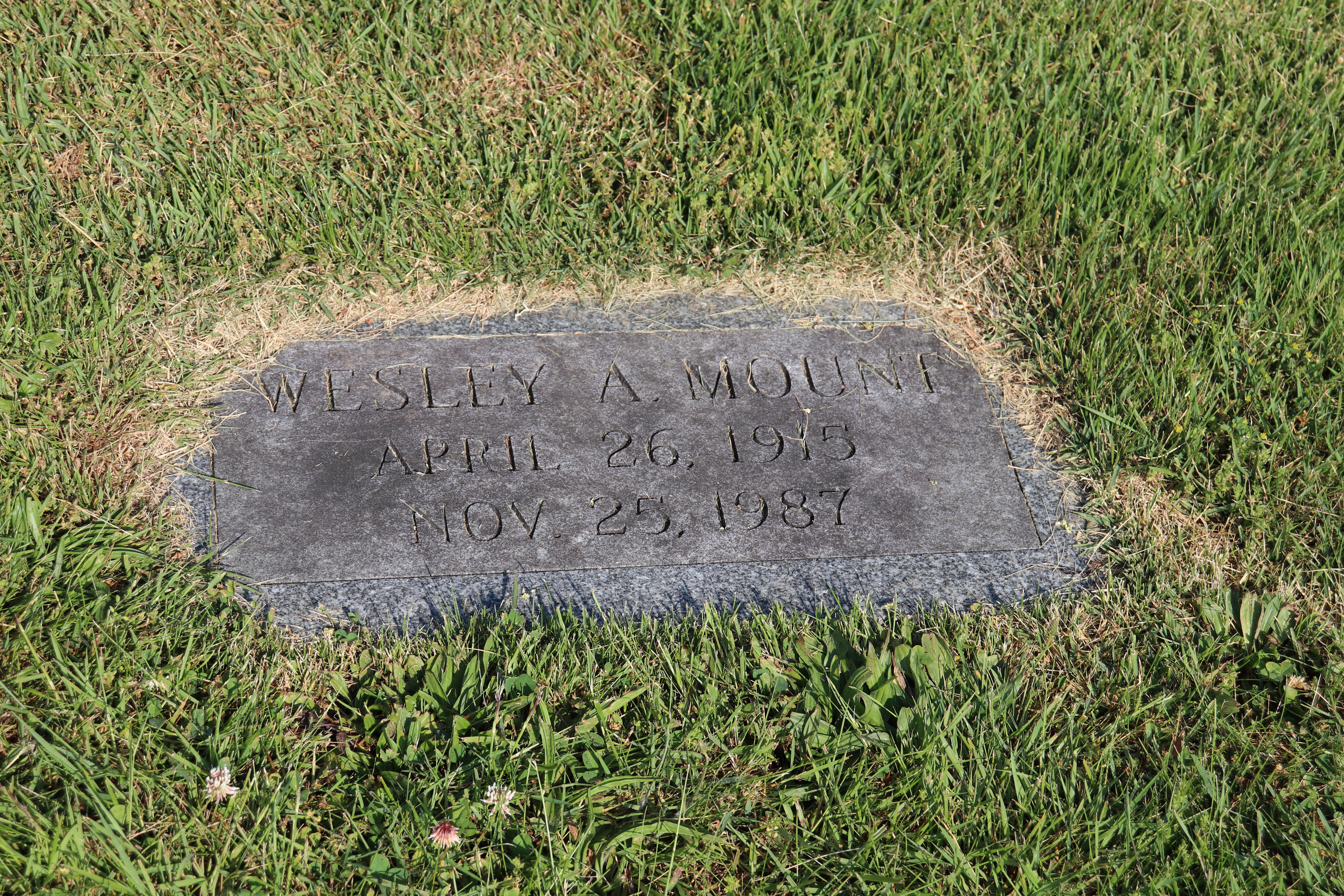 Photographed 01 June 2023.