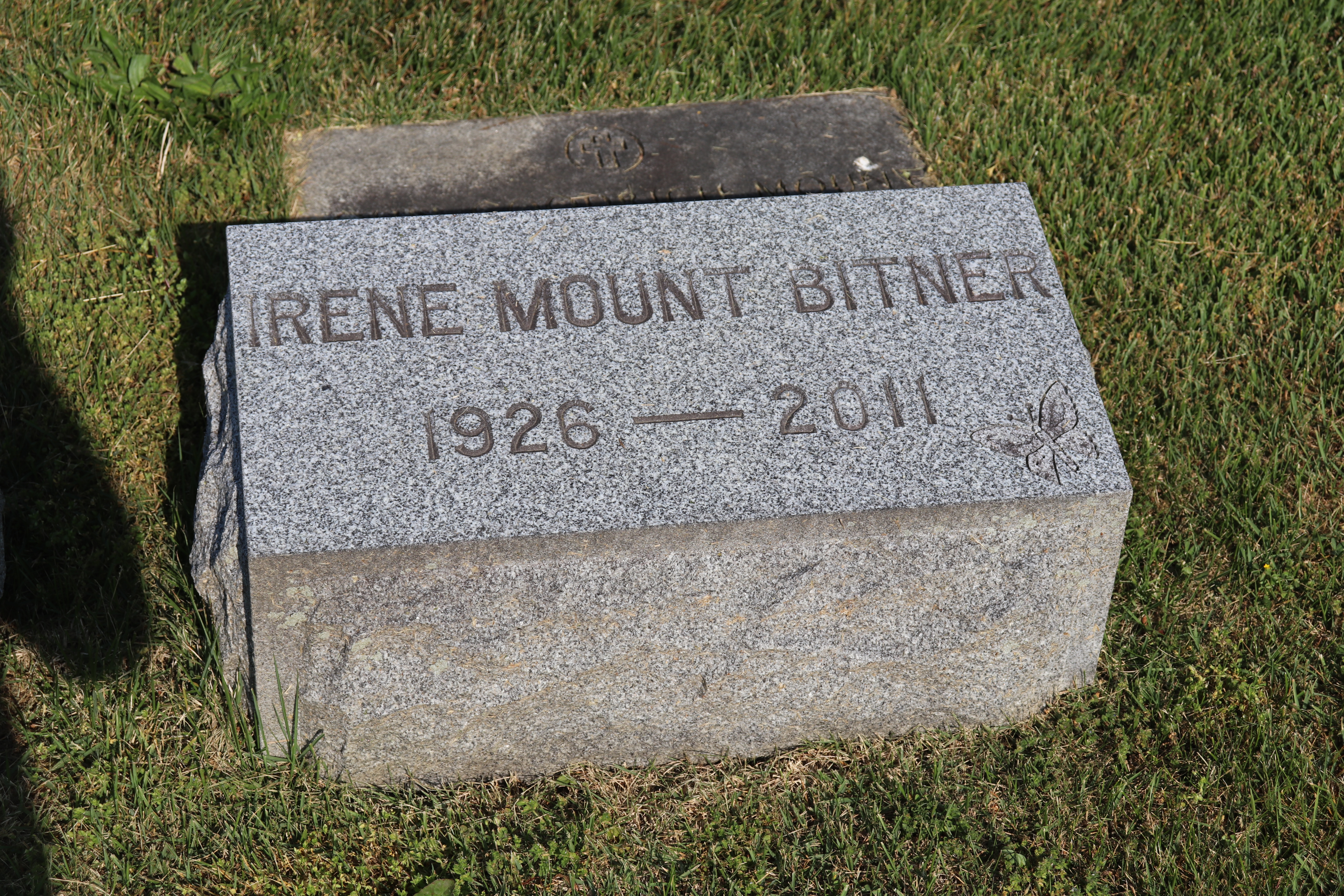 Photographed 01 June 2023