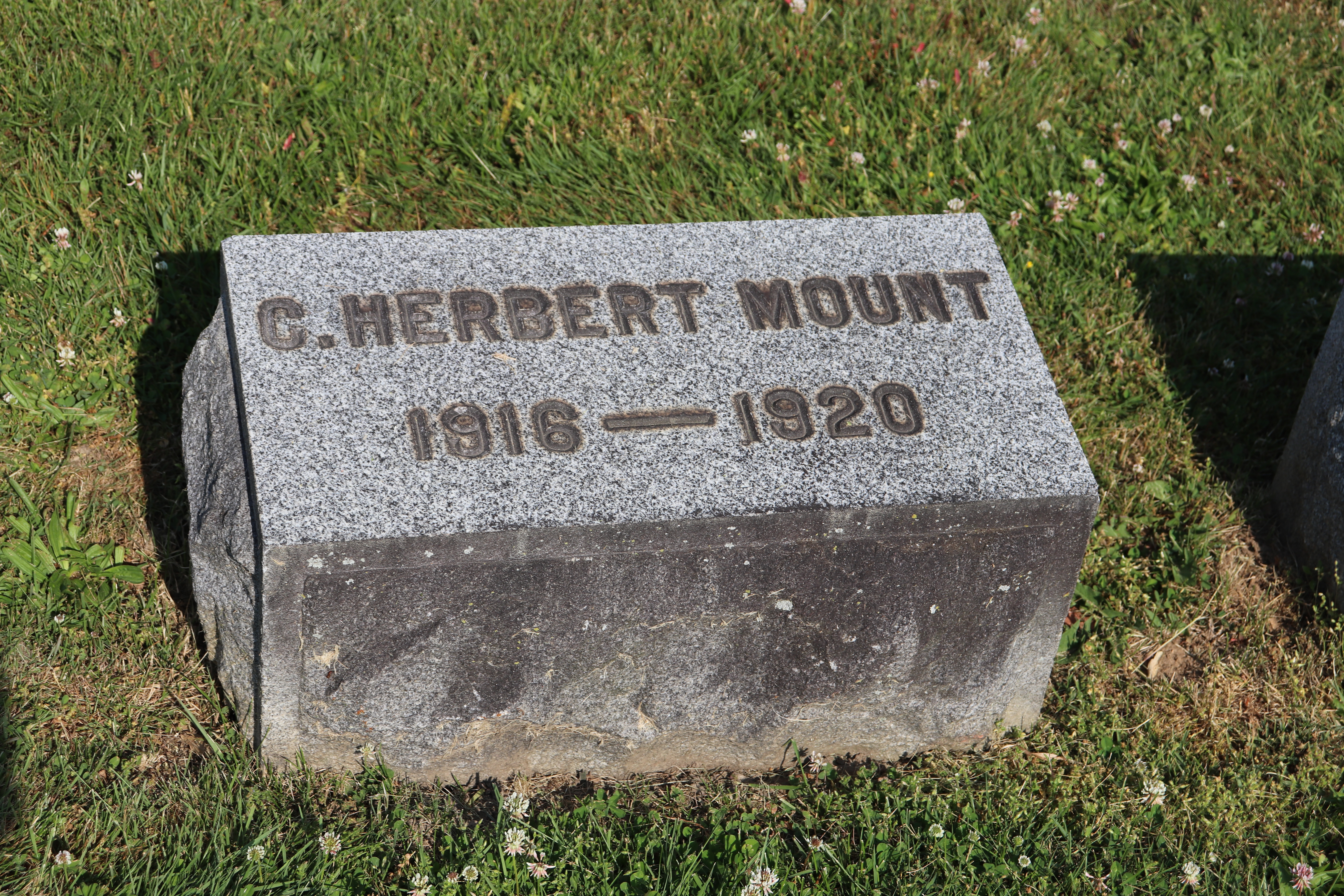 Photographed 01 June 2023