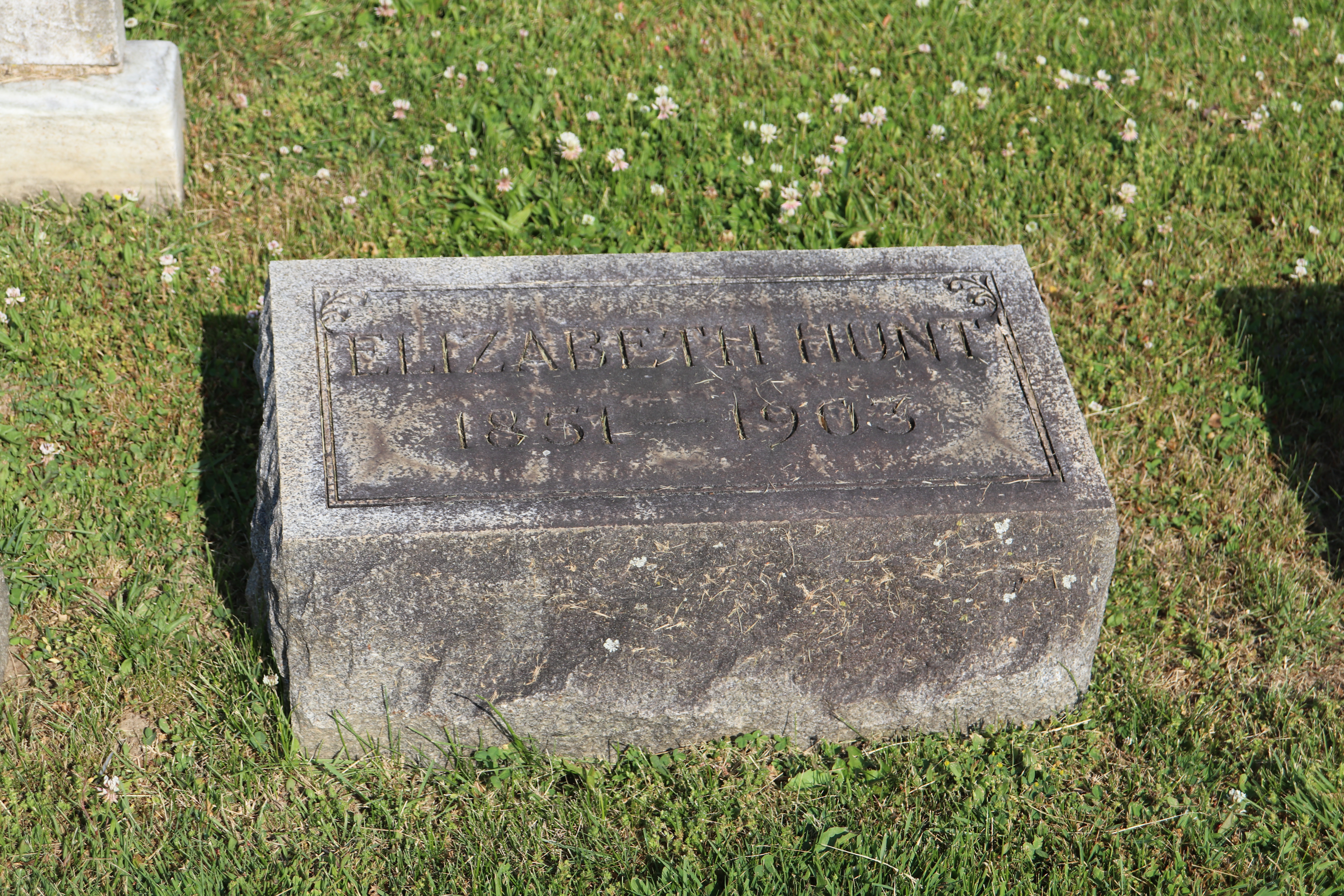 Photographed 01 June 2023