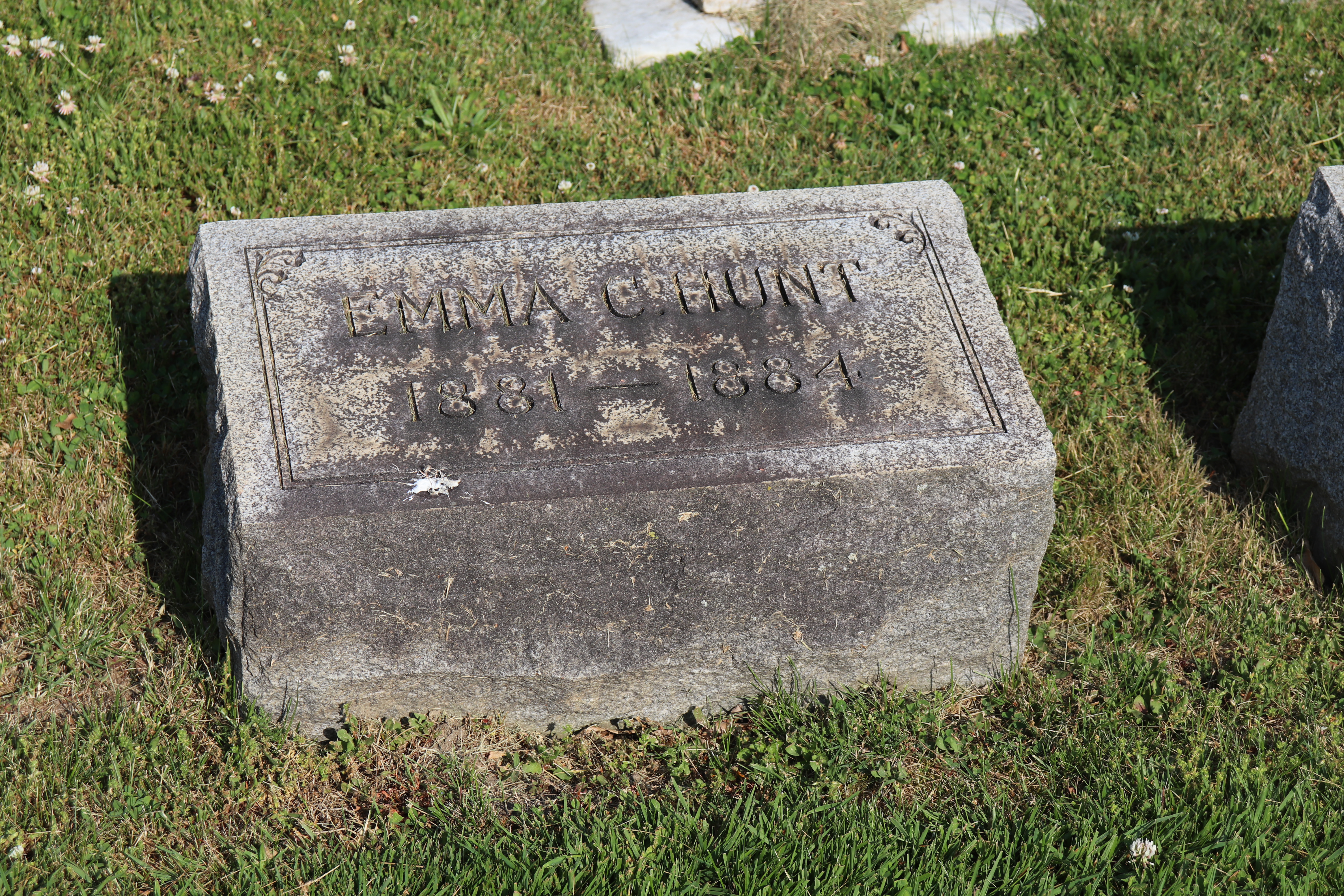 Photographed 01 June 2023