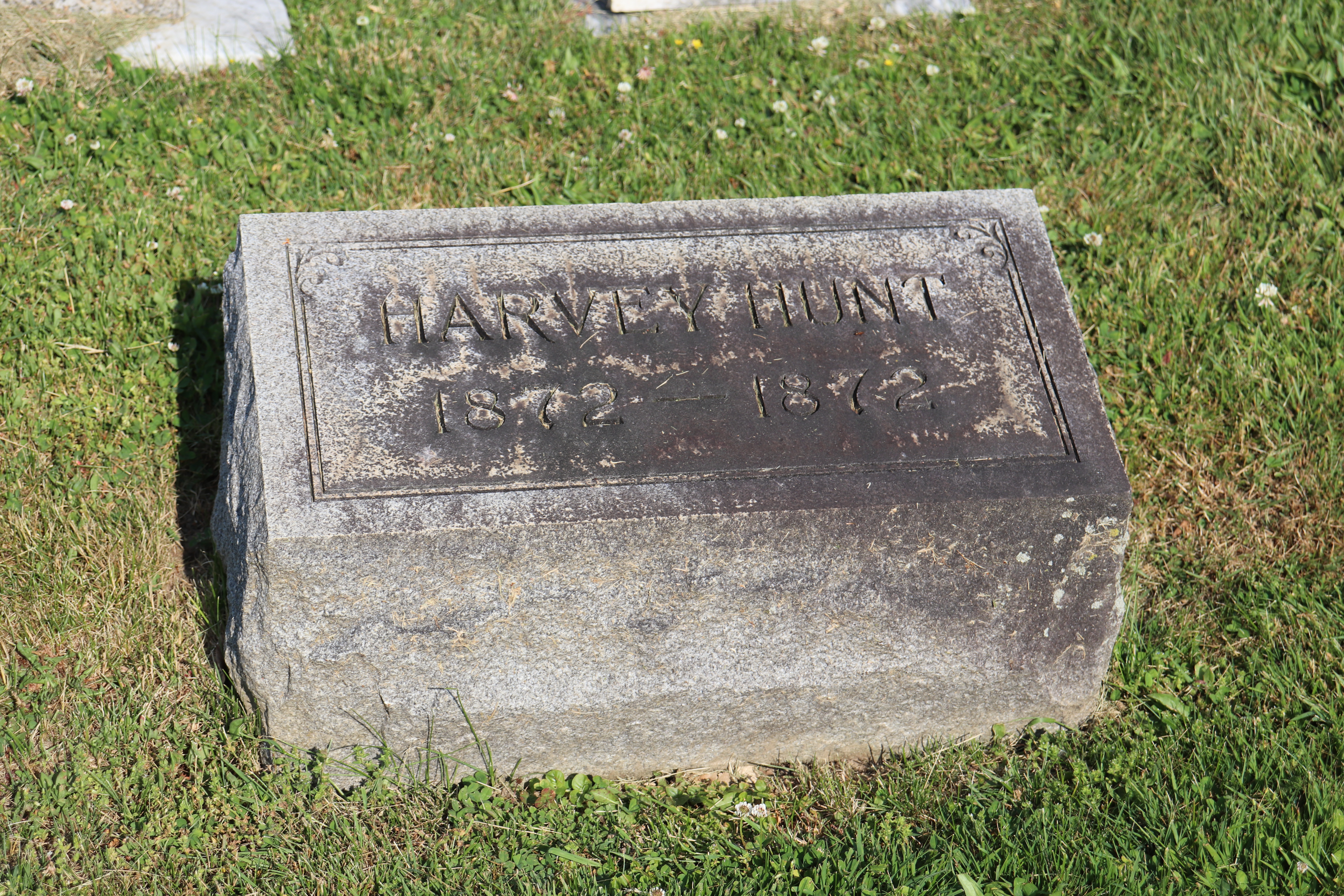 Photographed 01 June 2023