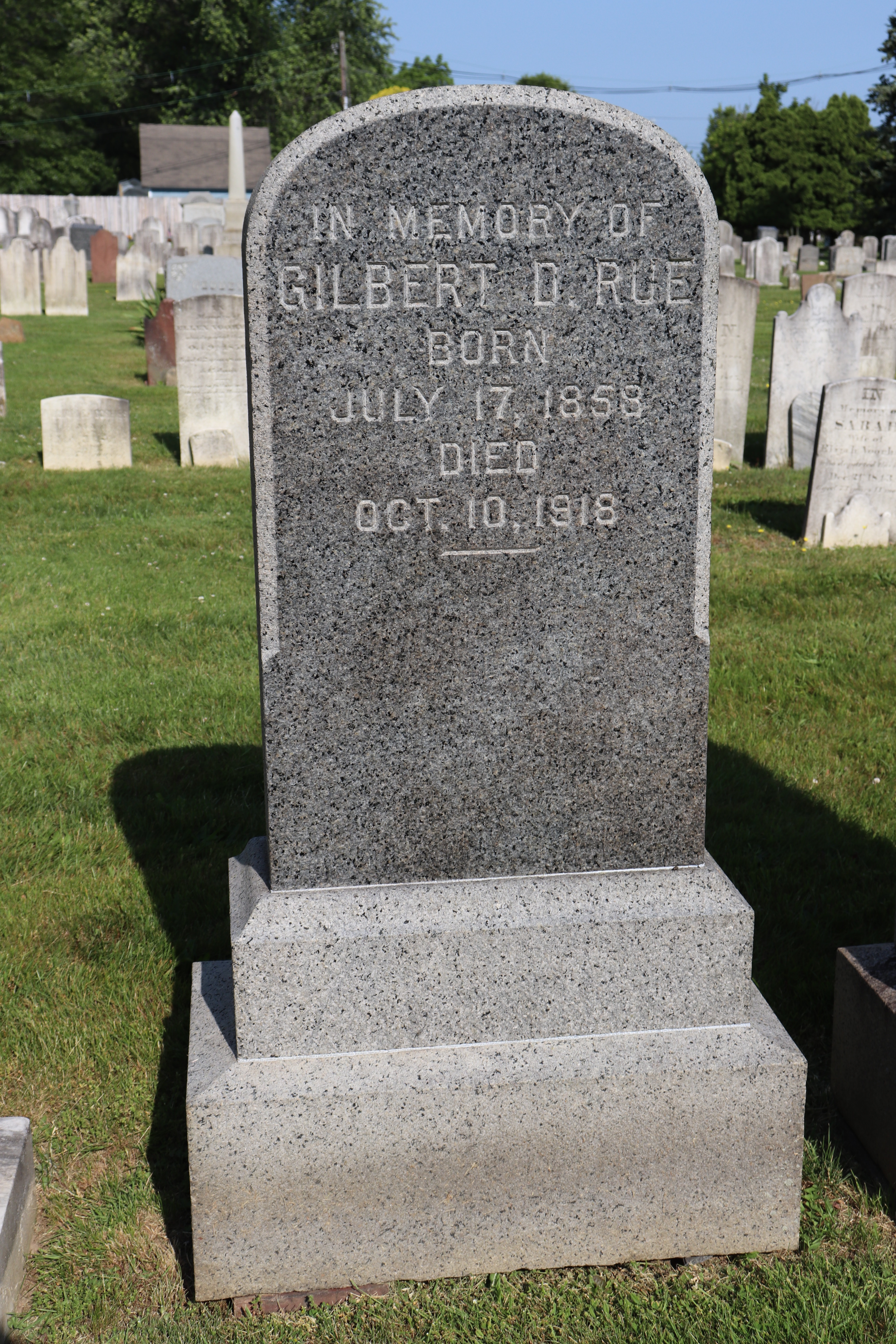 Photographed 01 June 2023