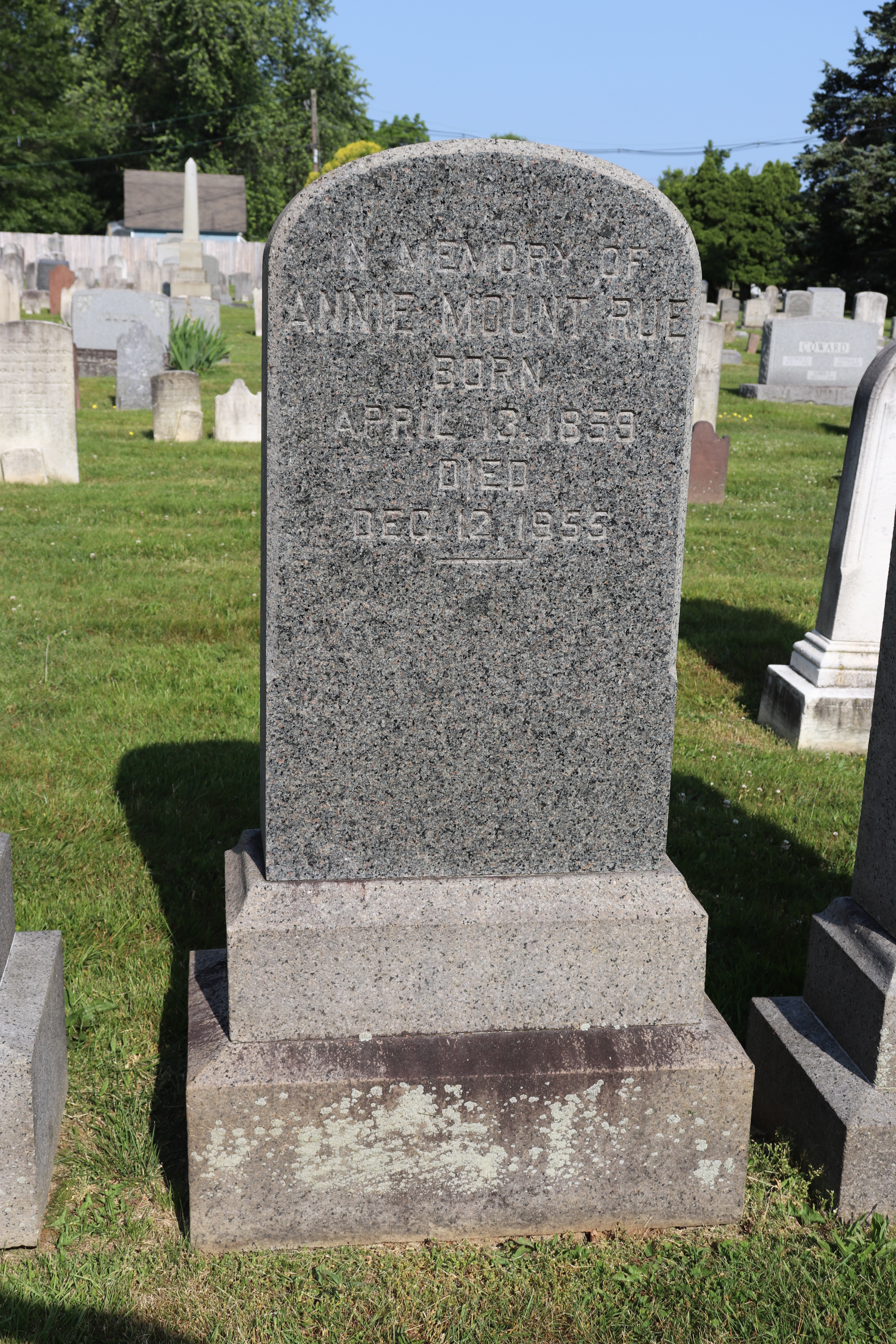 Photographed 01 June 2023