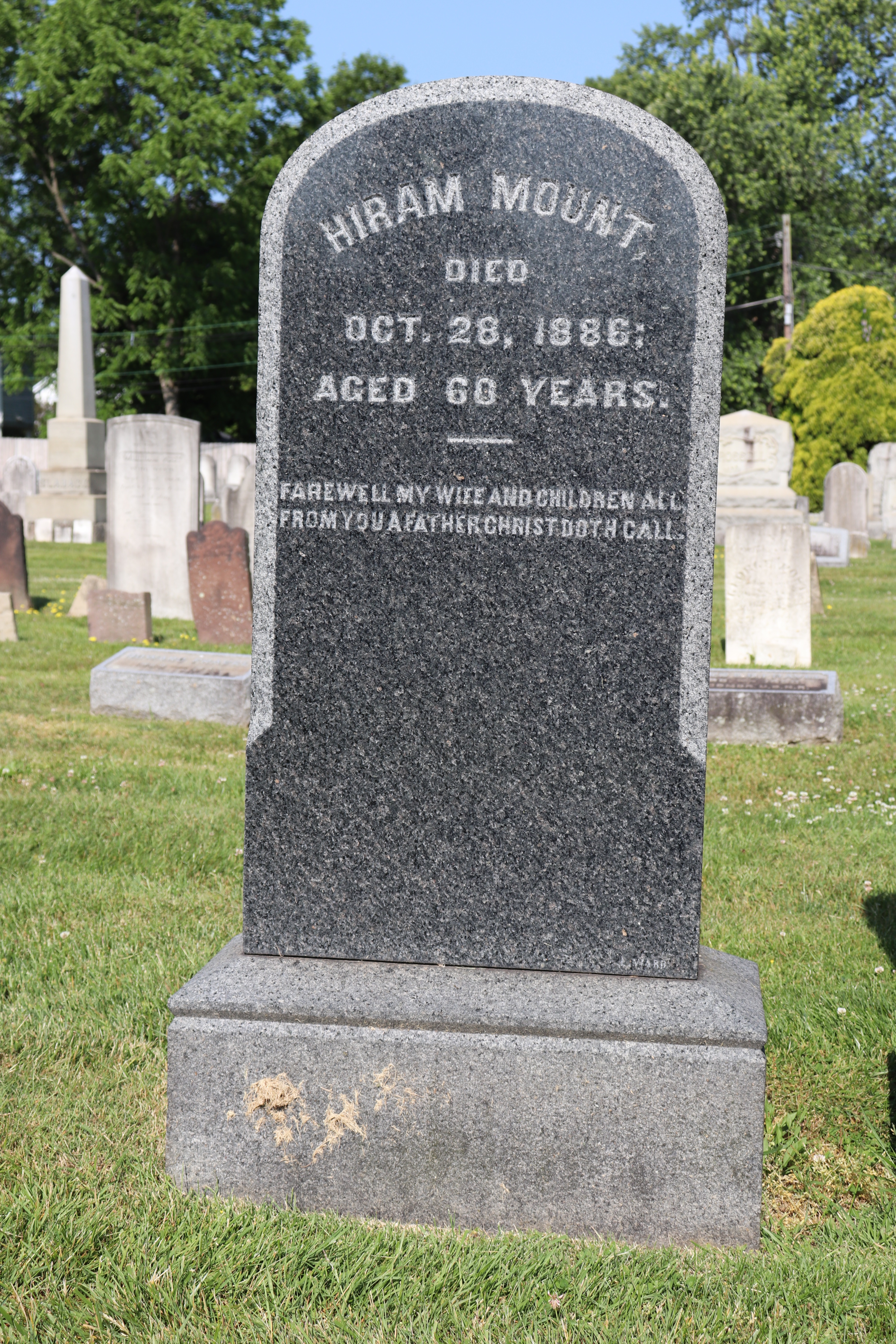 Photographed 01 June 2023