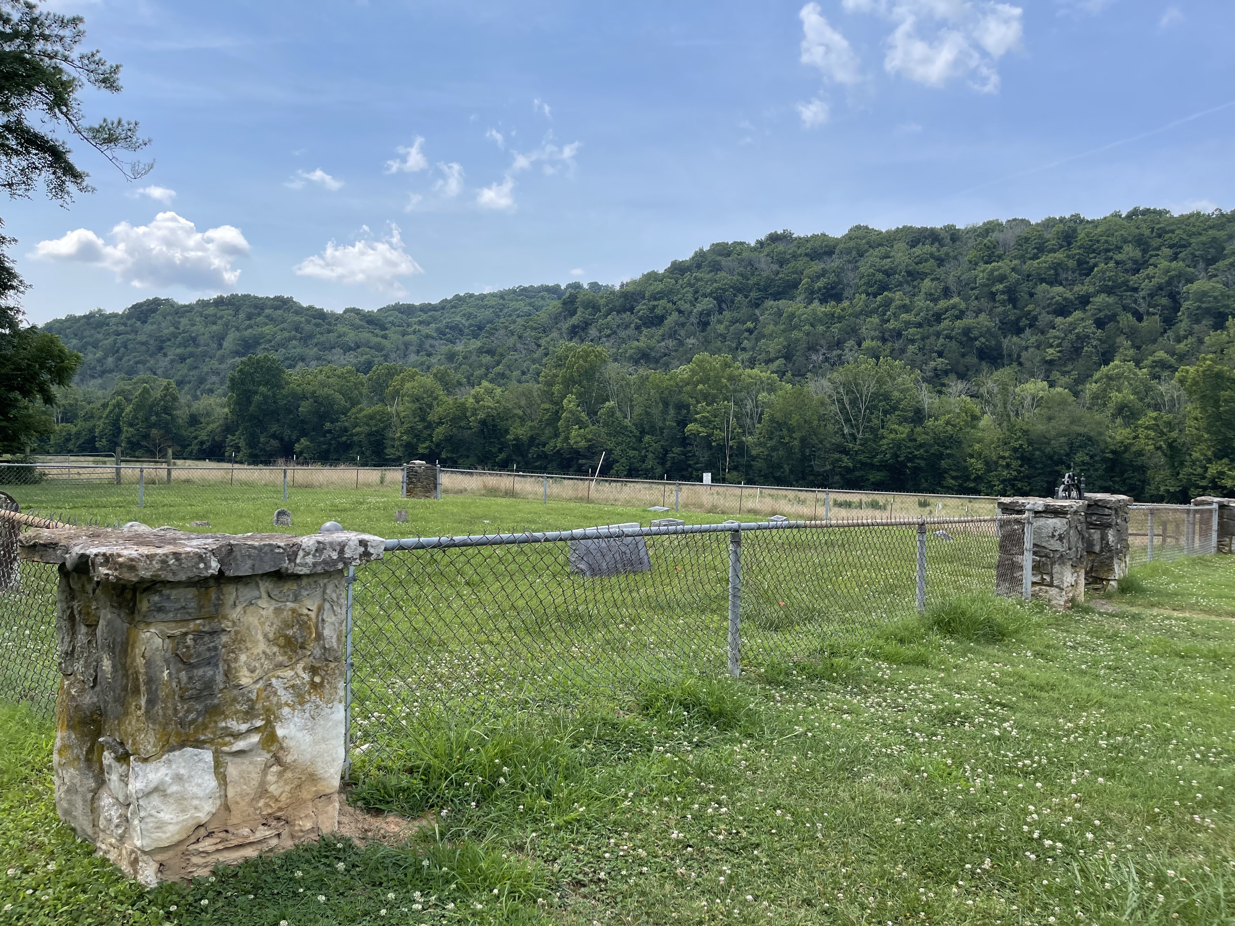 Photographed 09 July 2021