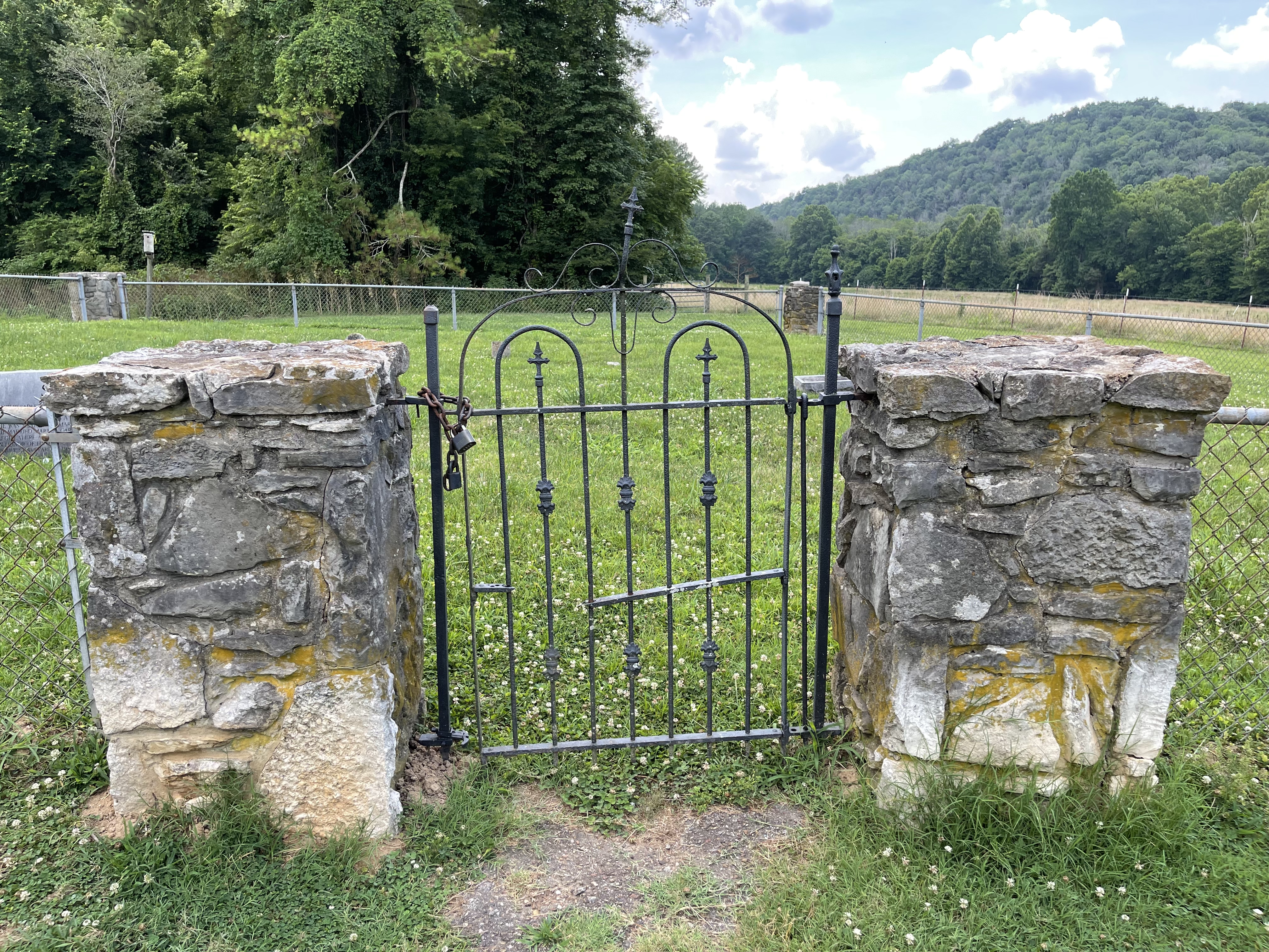 Photographed 09 July 2021