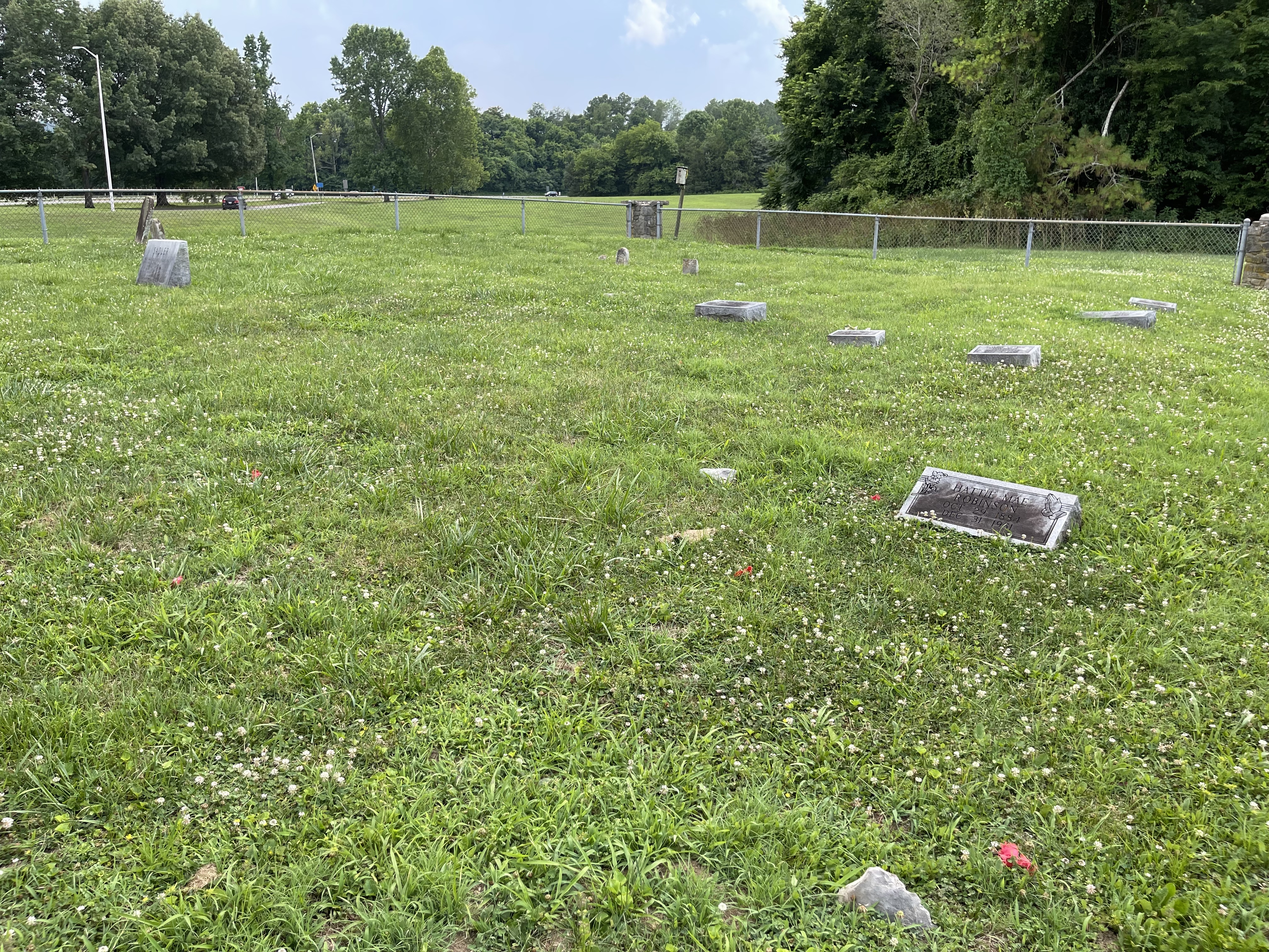 Photographed 09 July 2021