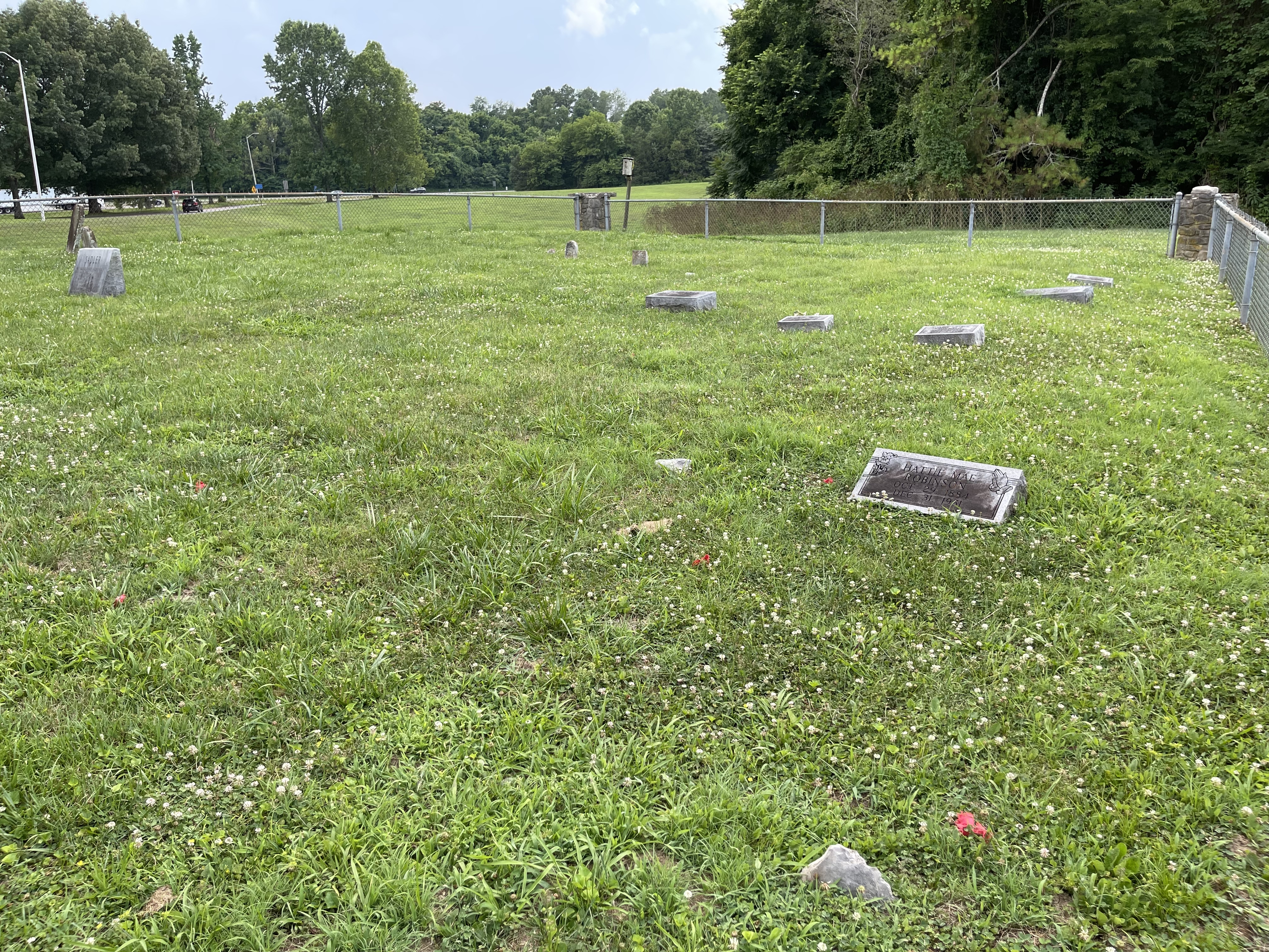 Photographed 09 July 2021