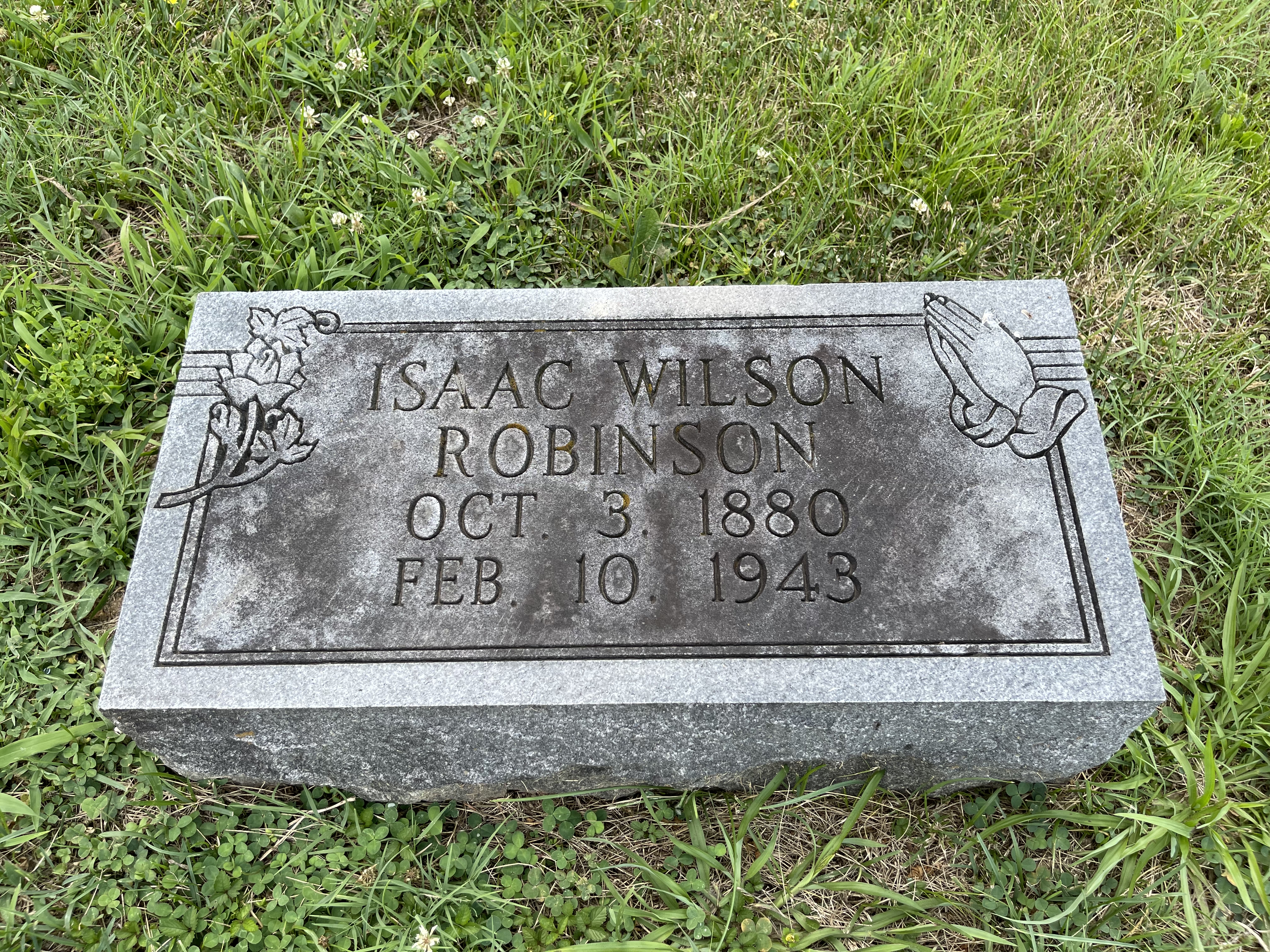 Photographed 09 July 2021