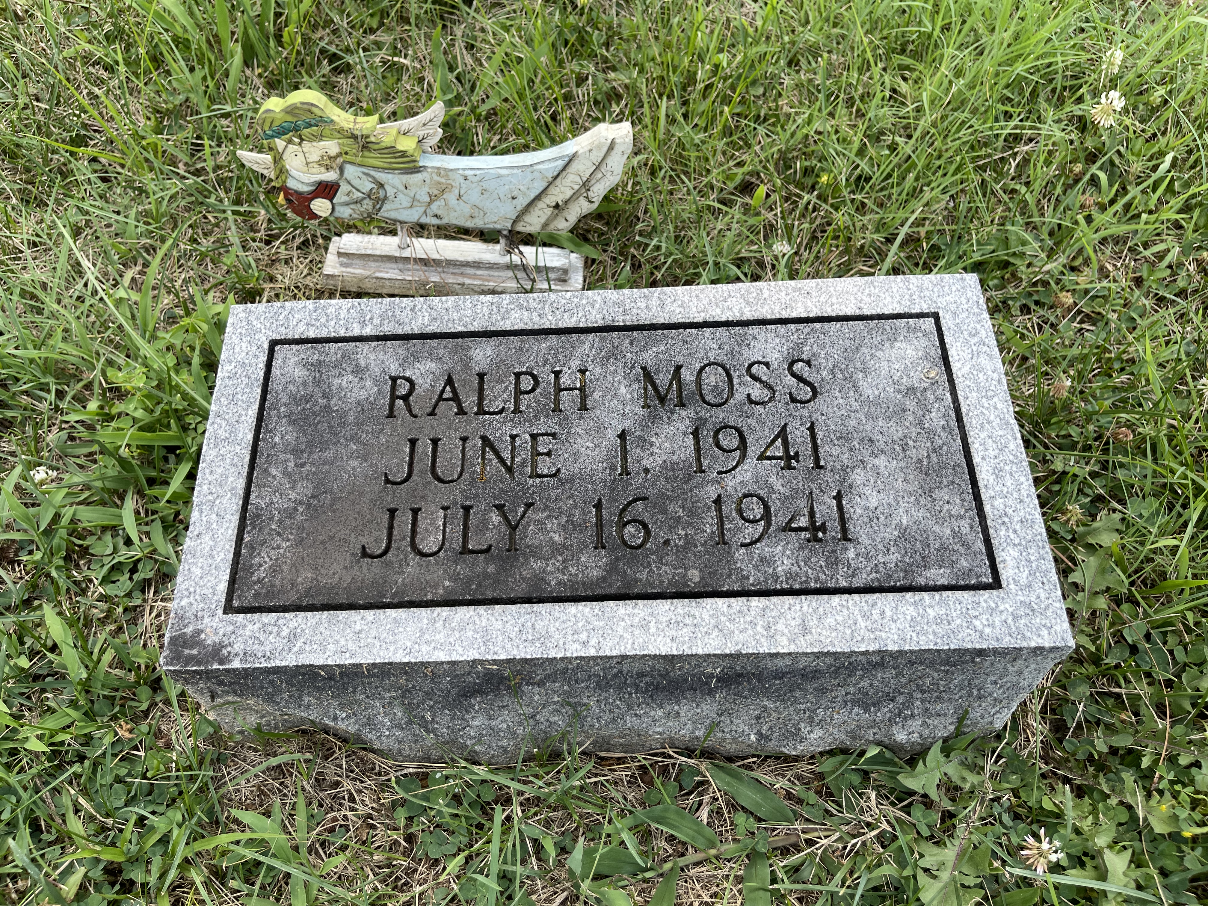 Photographed 09 July 2021