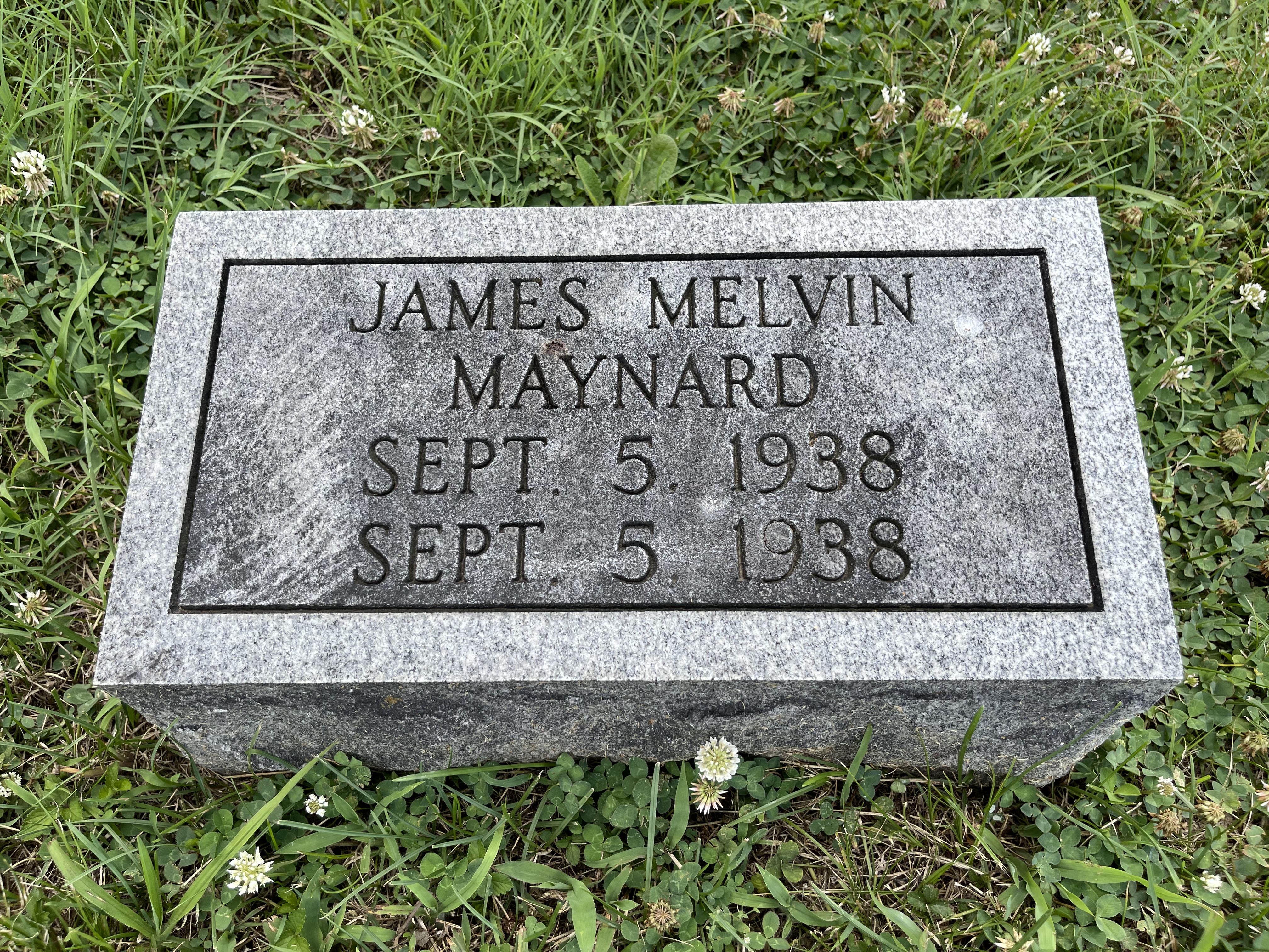 Photographed 09 July 2021