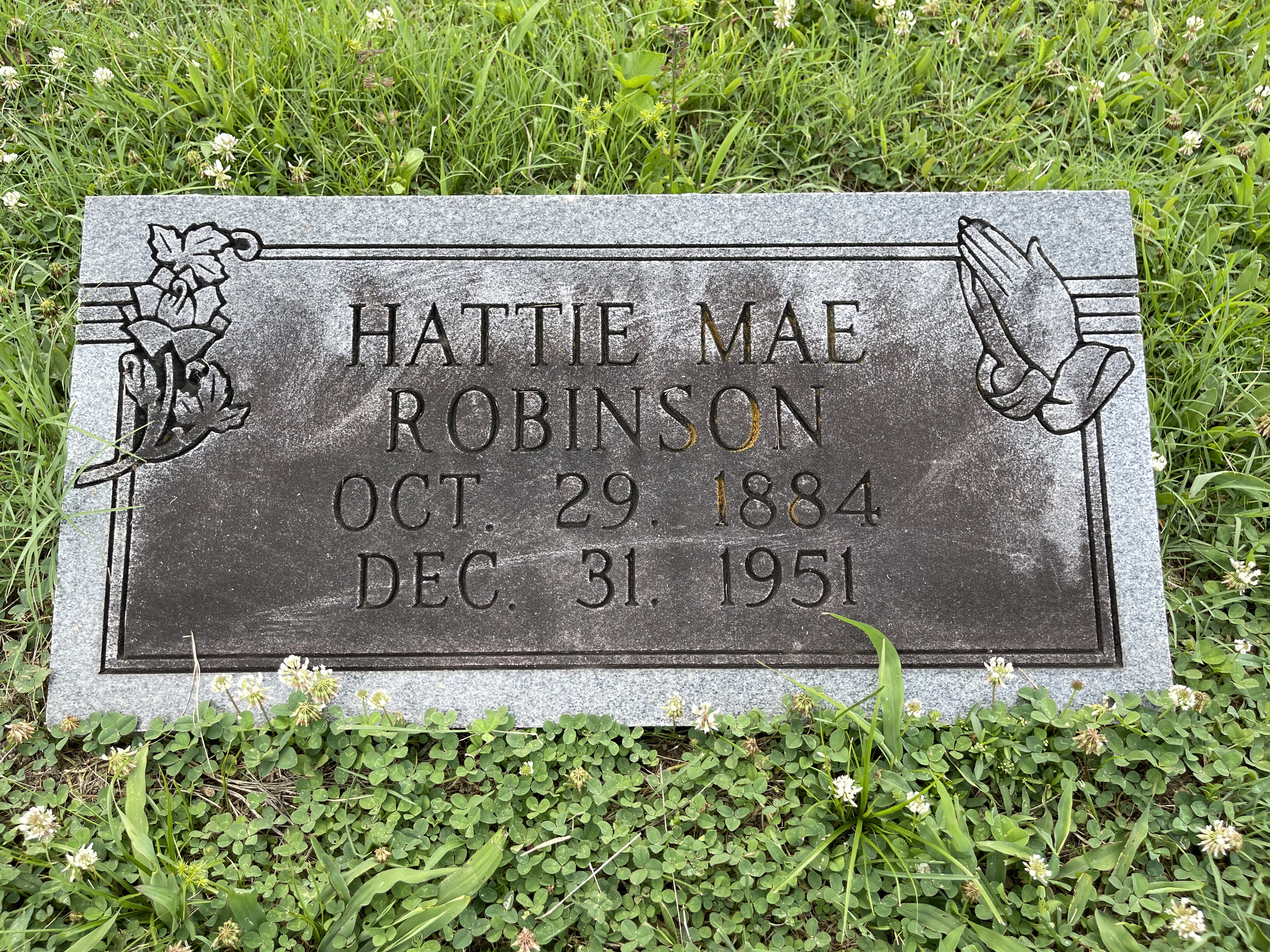 Photographed 09 July 2021