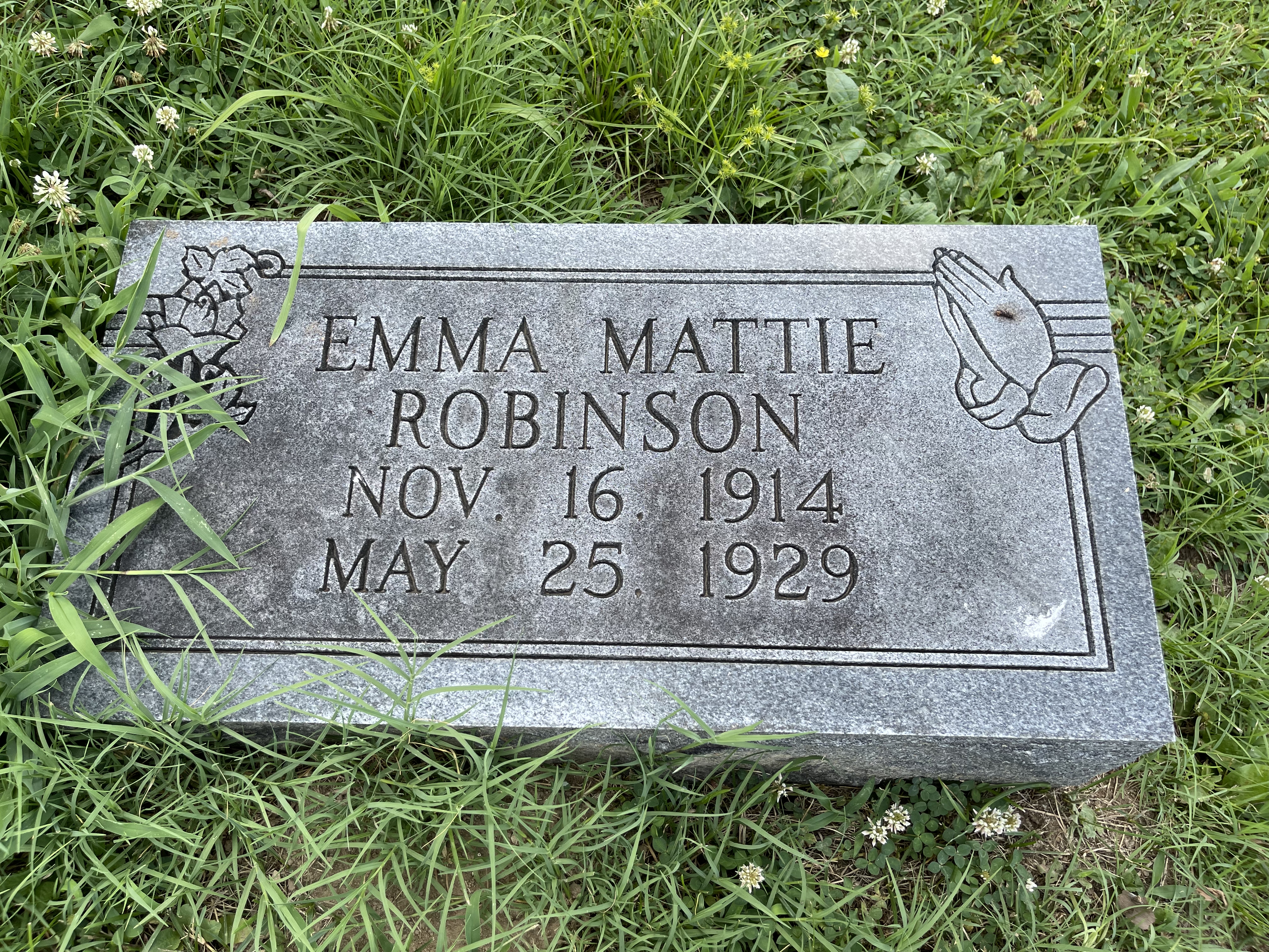 Photographed 09 July 2021