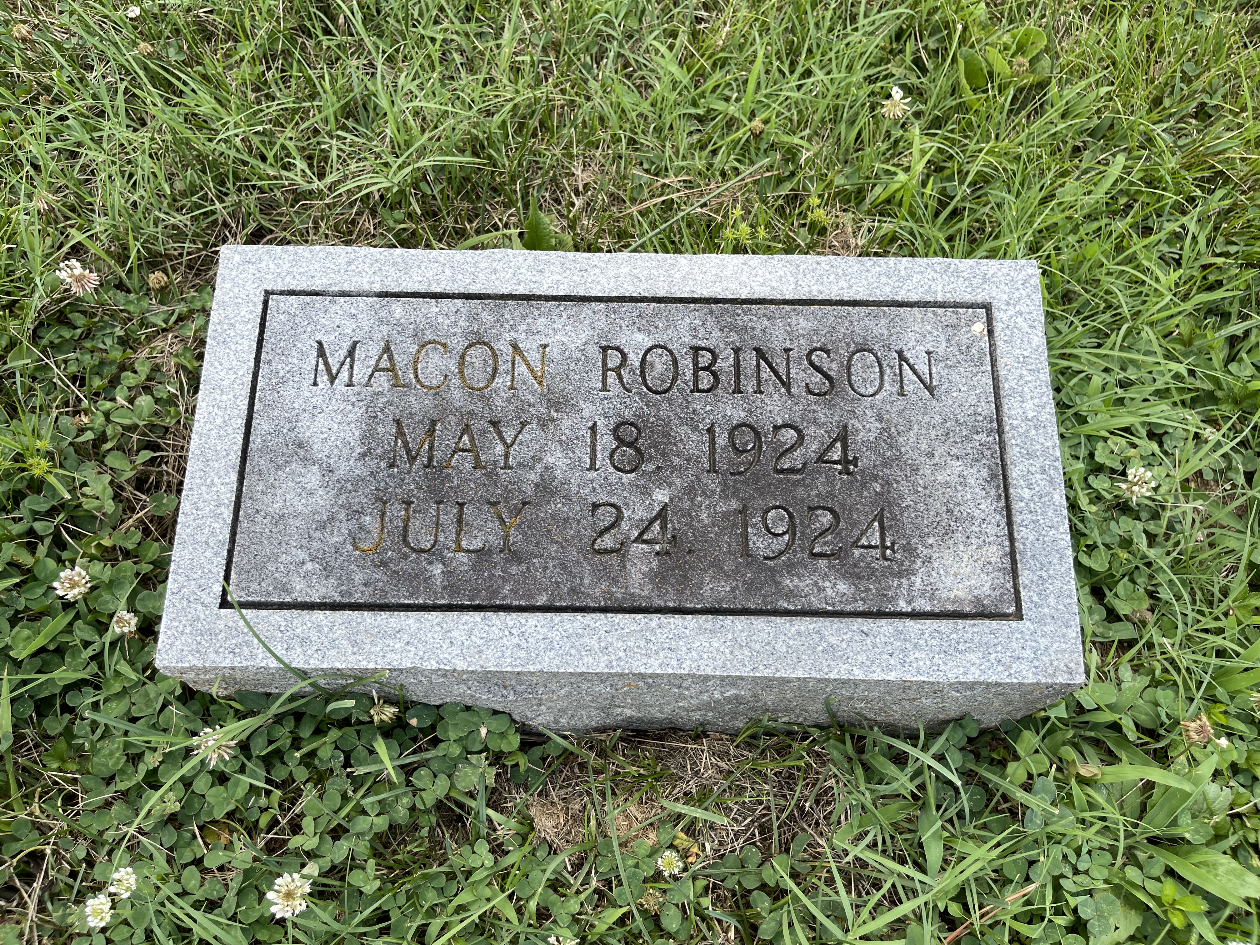 Photographed 09 July 2021