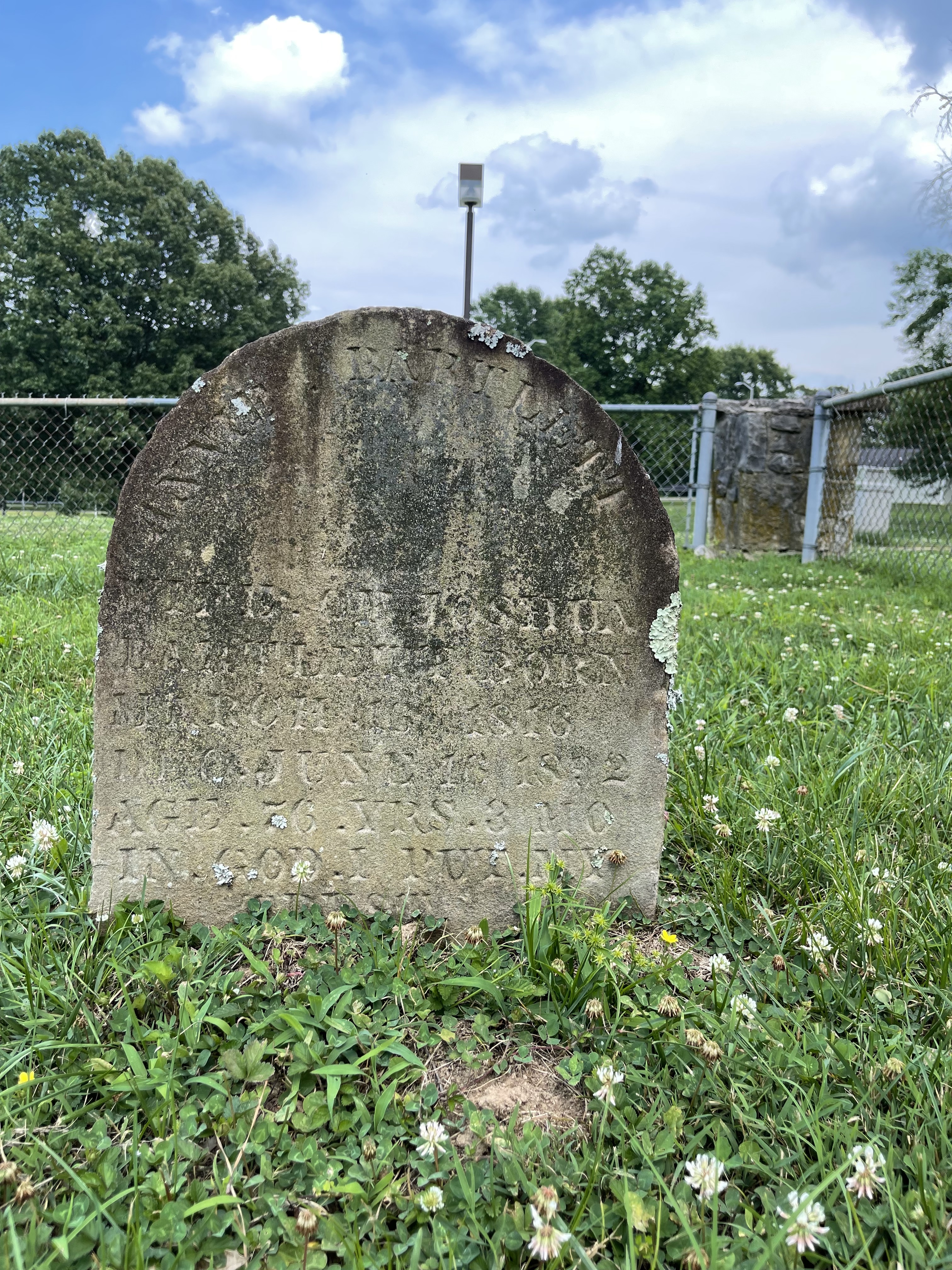 Photographed 09 July 2021