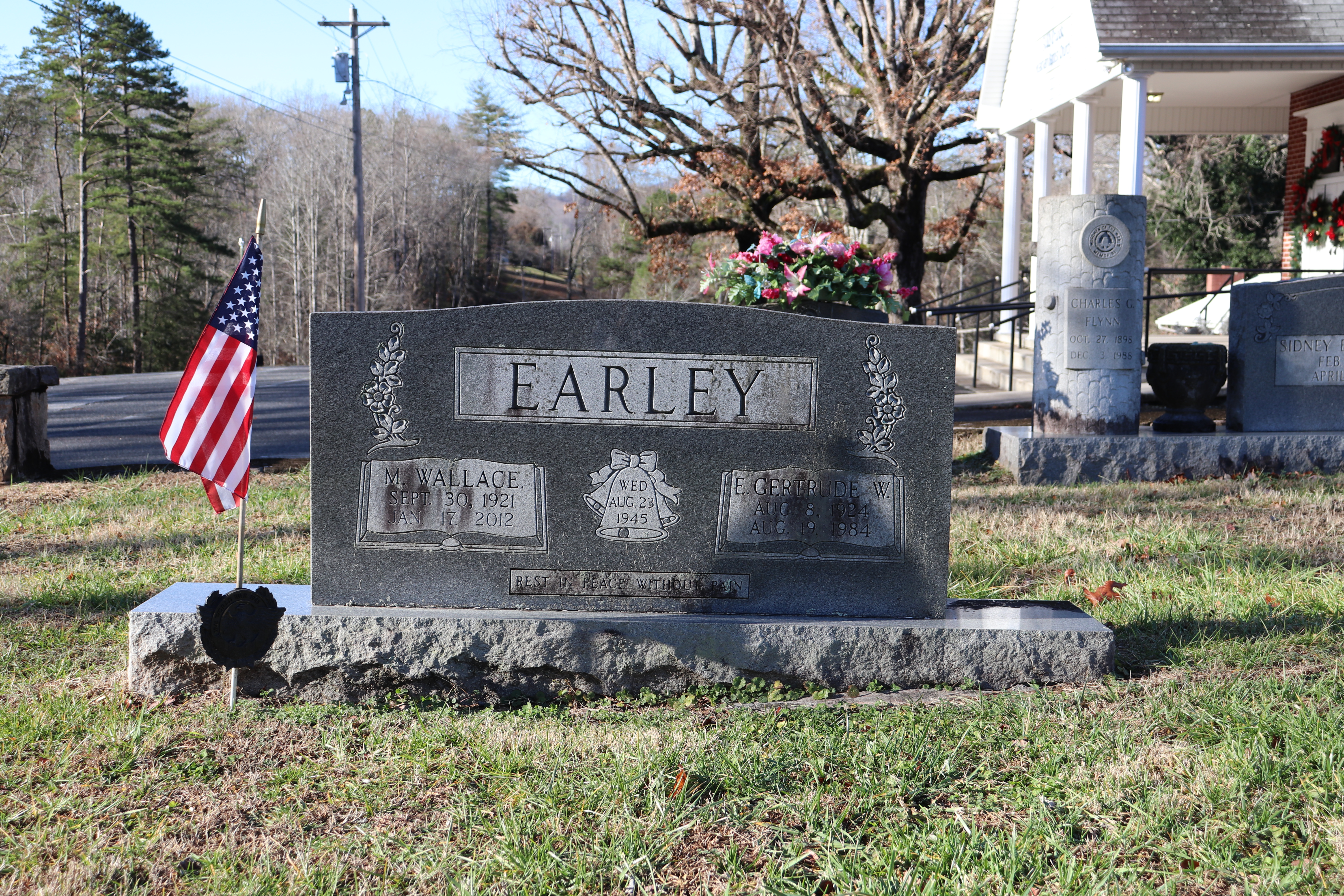 Photographed 30 Dec 2019