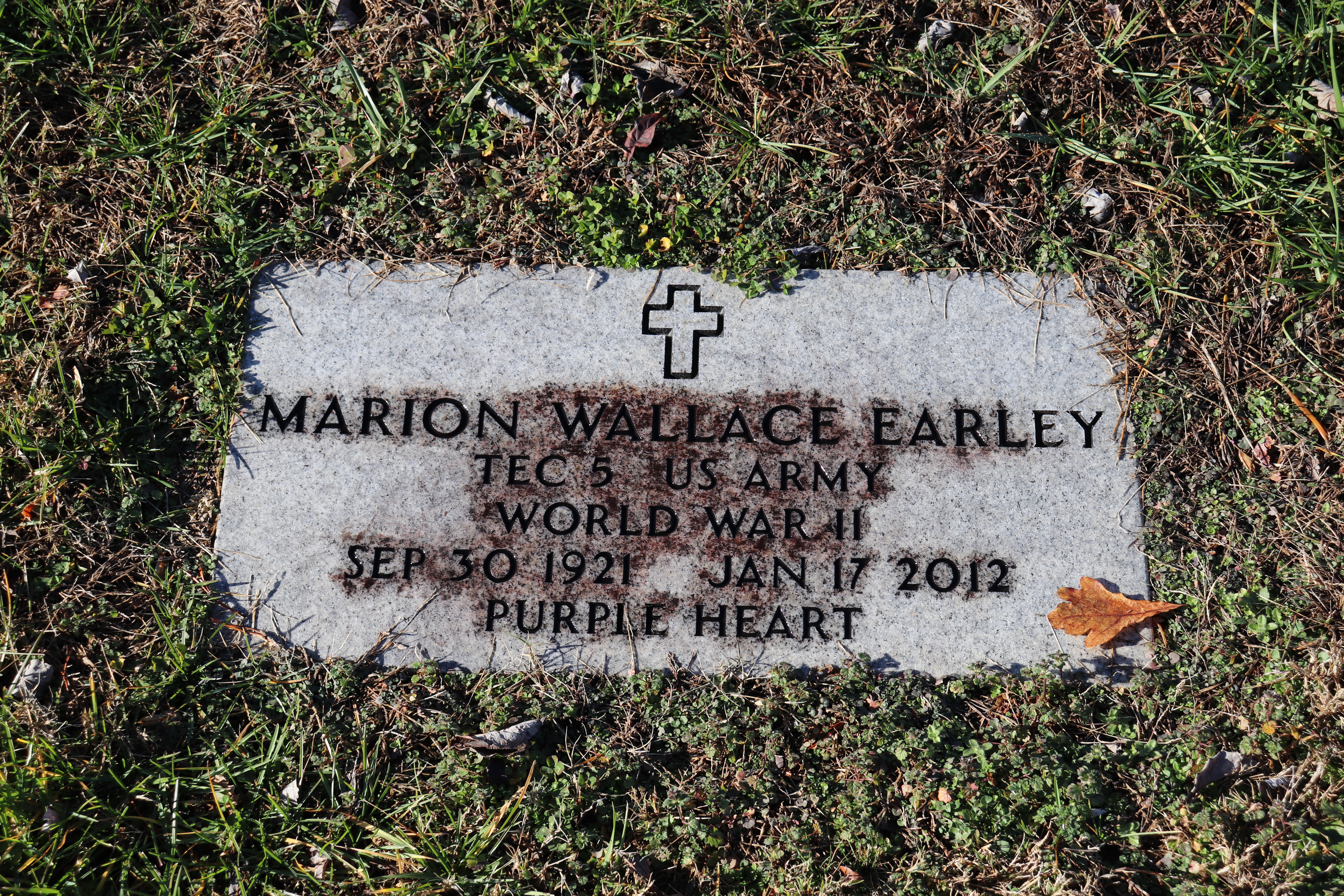 Photographed 30 Dec 2019