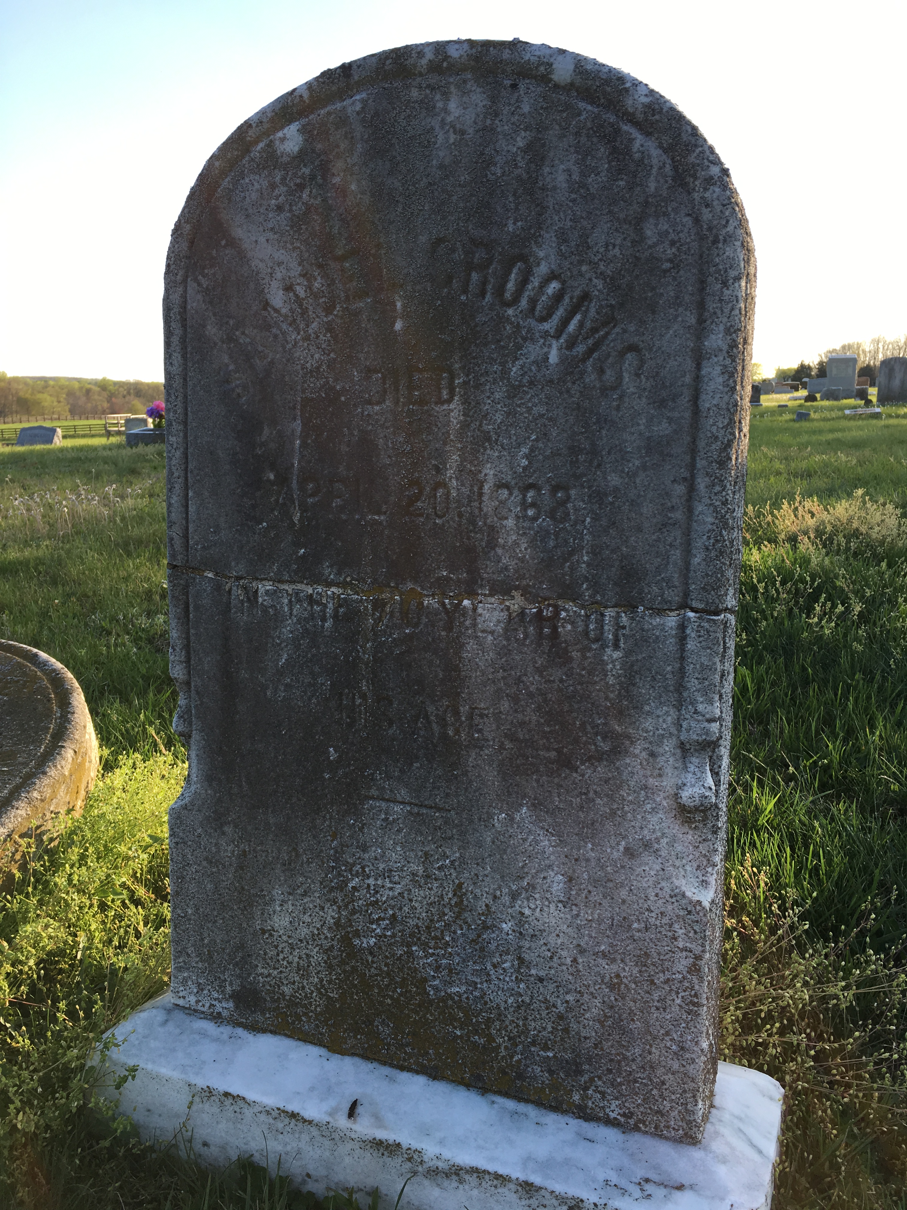 Photographed 18 Apr 2017.