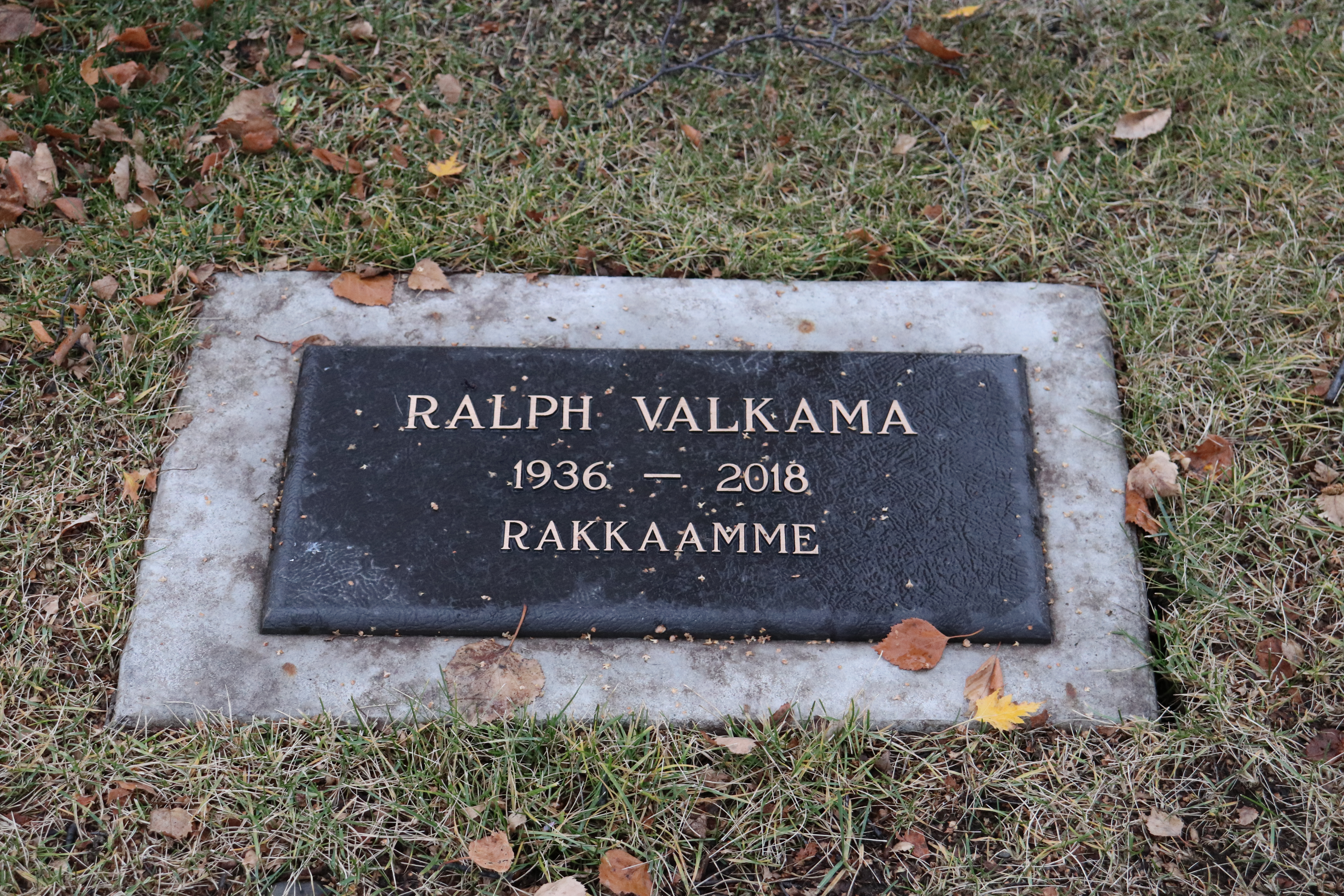 Photographed 26 Oct 2019.