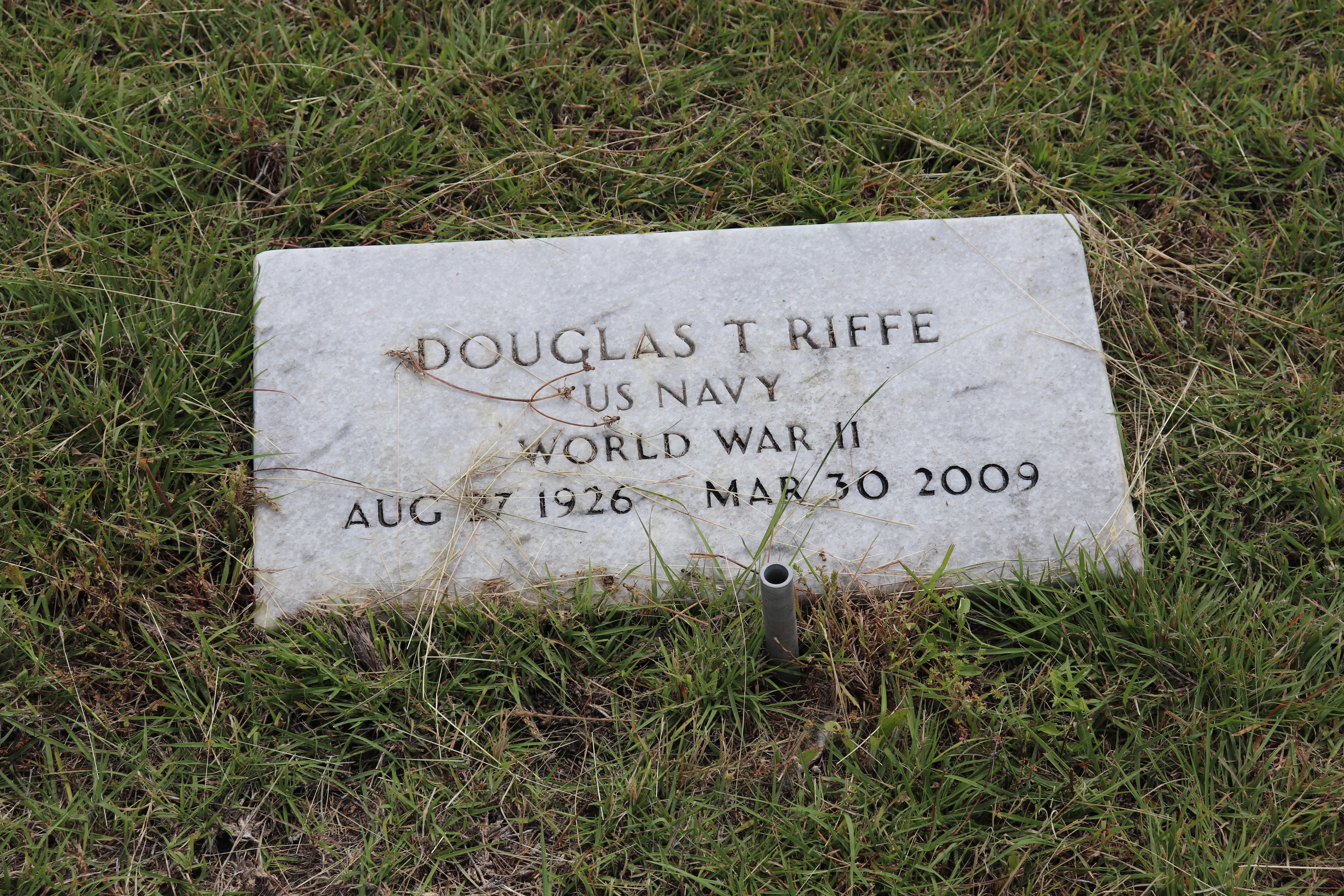 Photographed 22 May 2020.