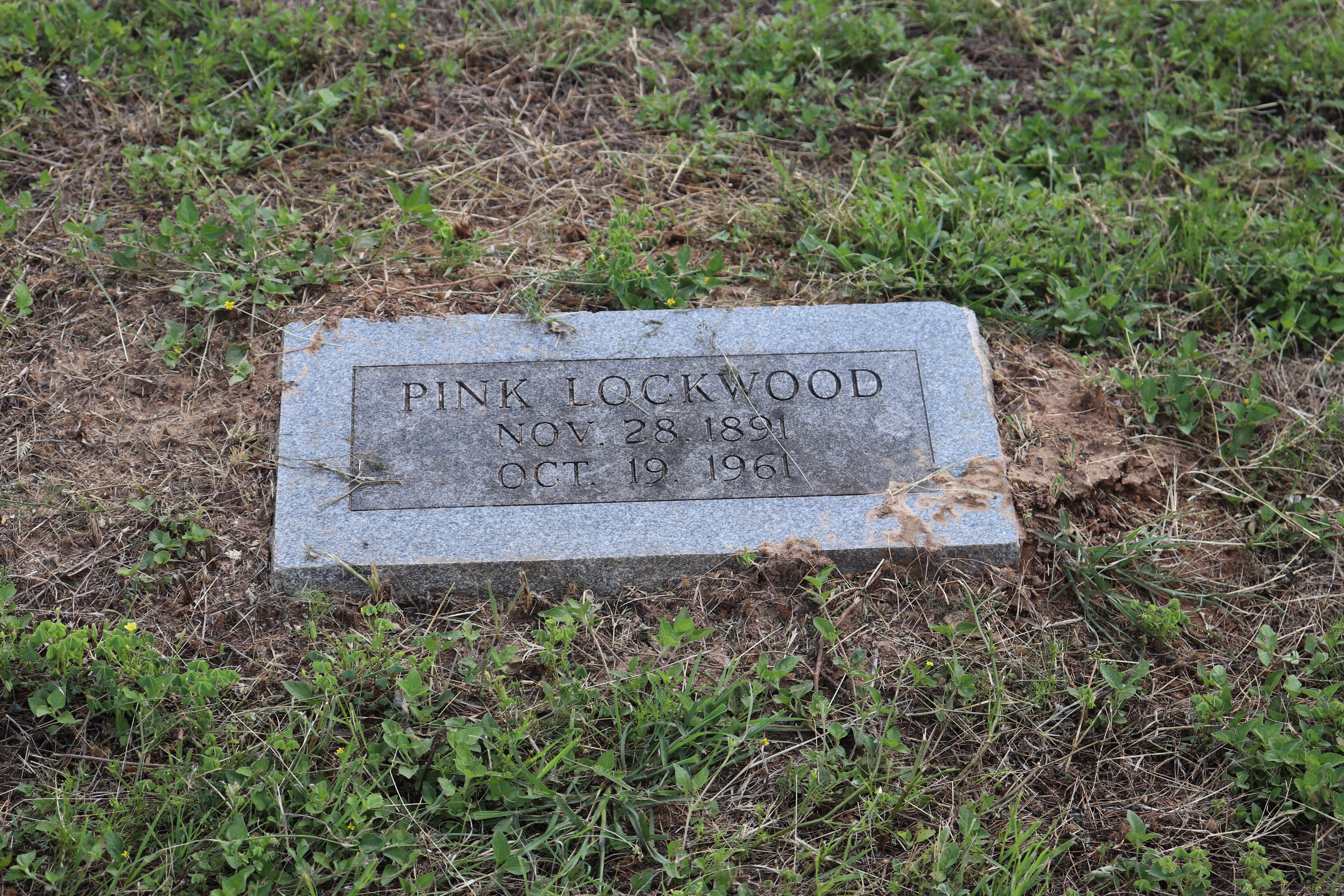 Photographed 22 May 2020.